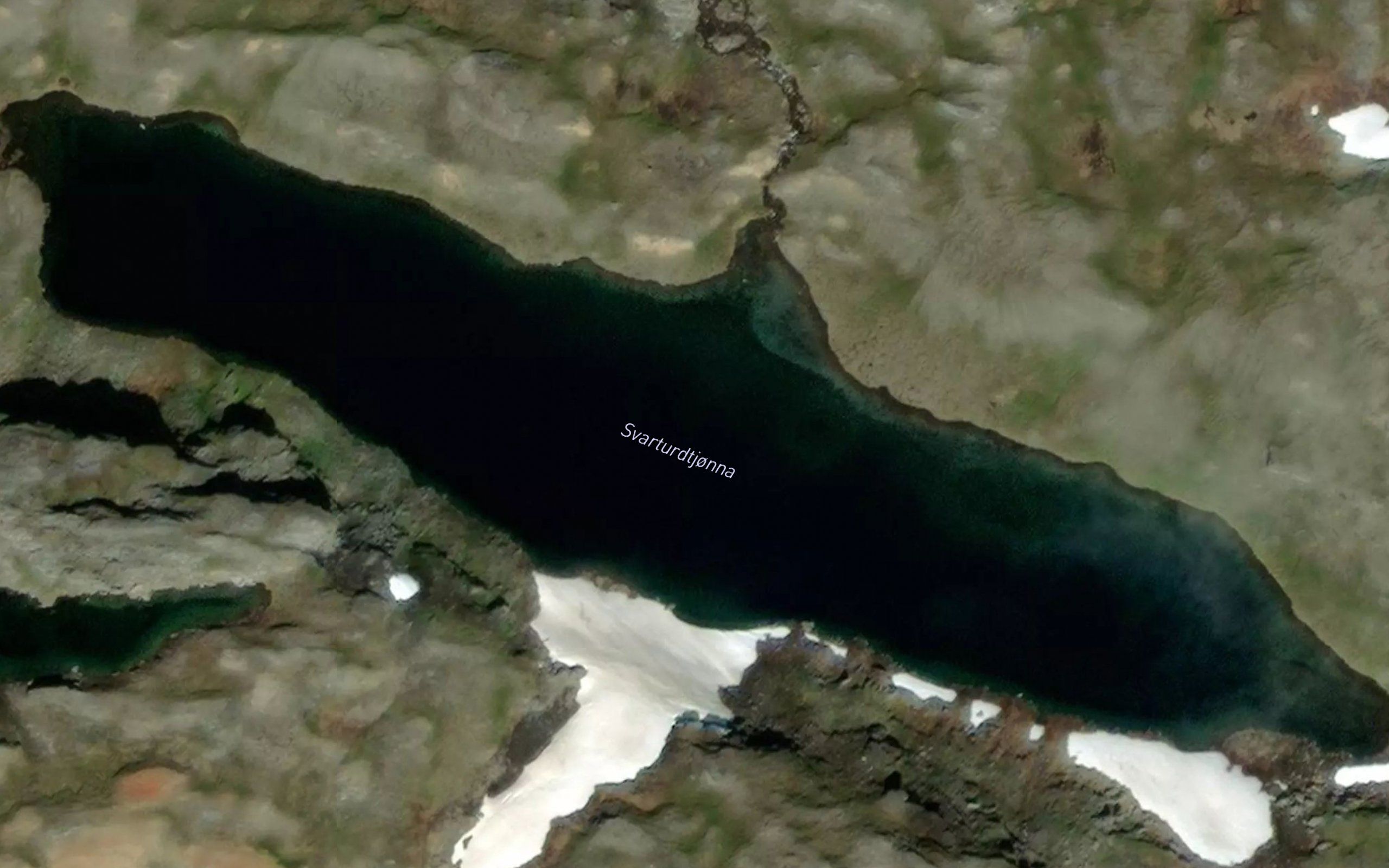 Svarturdtjorna