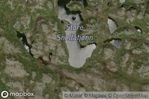 Snellatjorni,store
