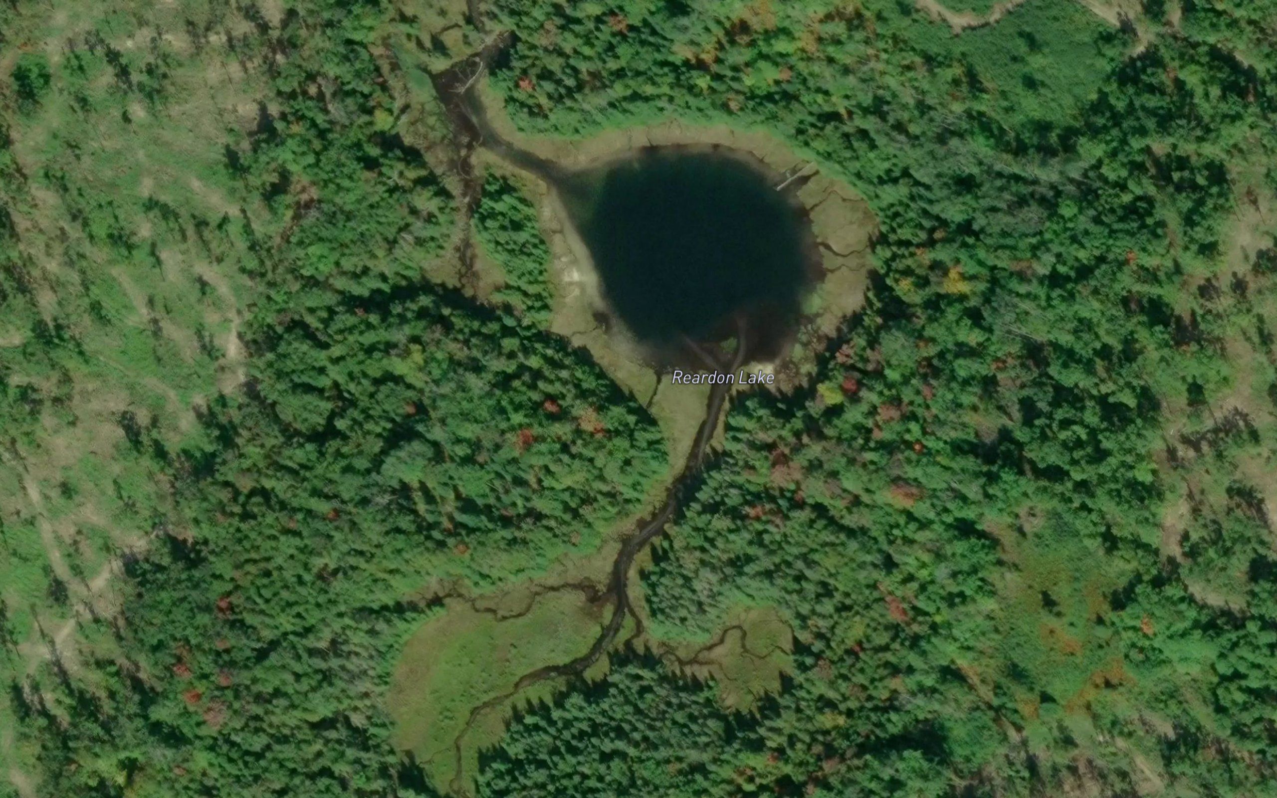 Reardon Lake