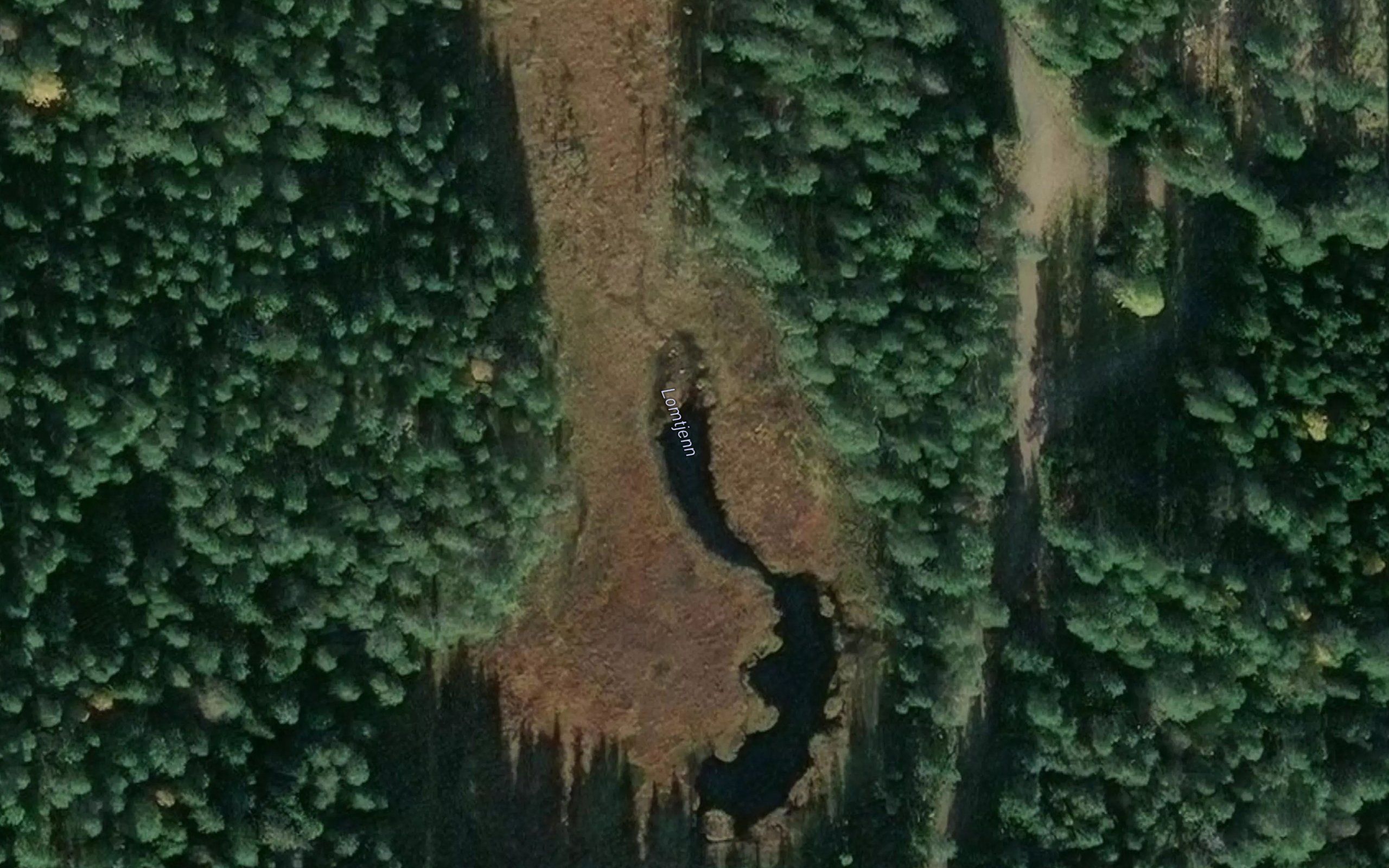 Lomtjern