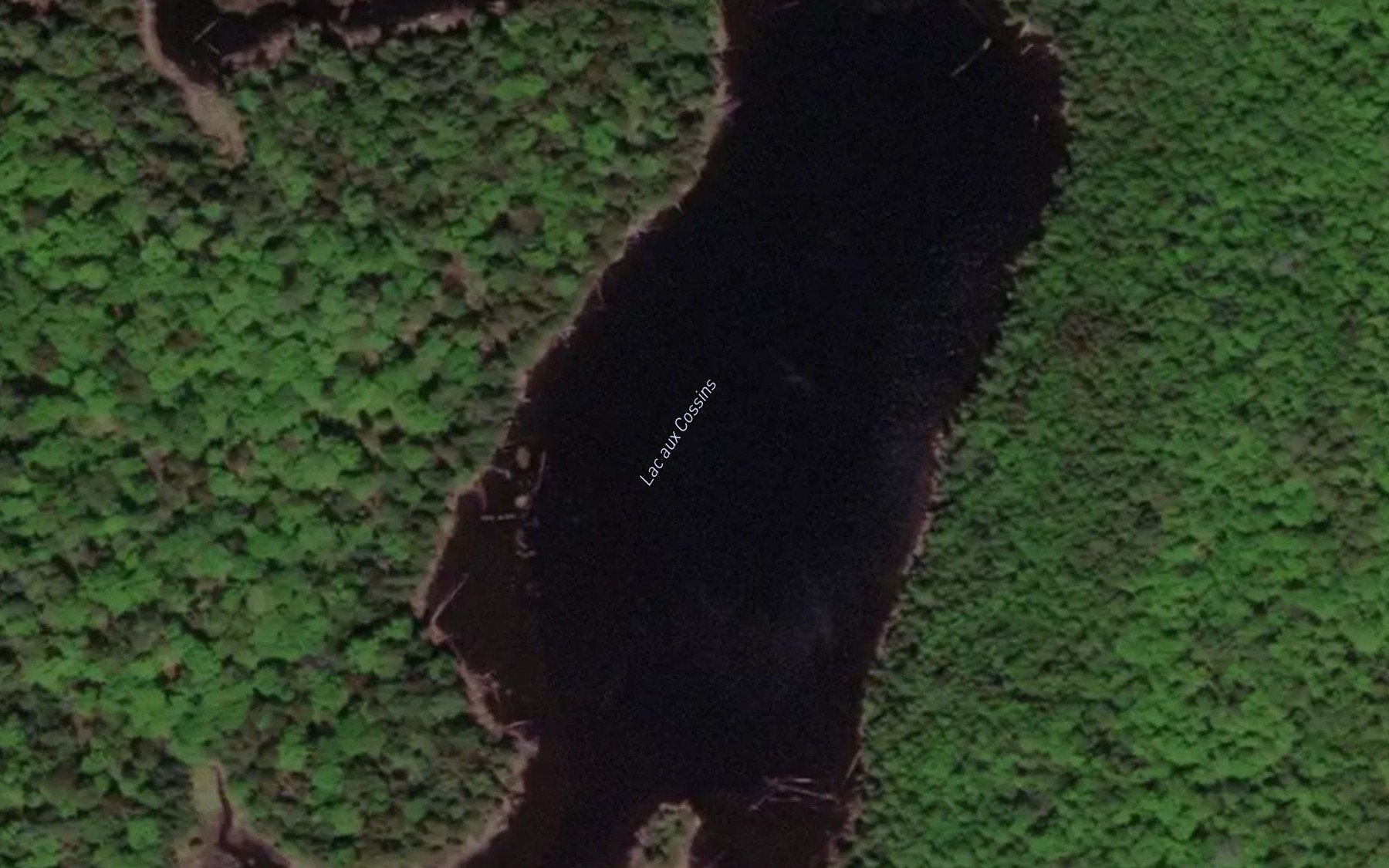 Satellite map of the Lac aux Cossins