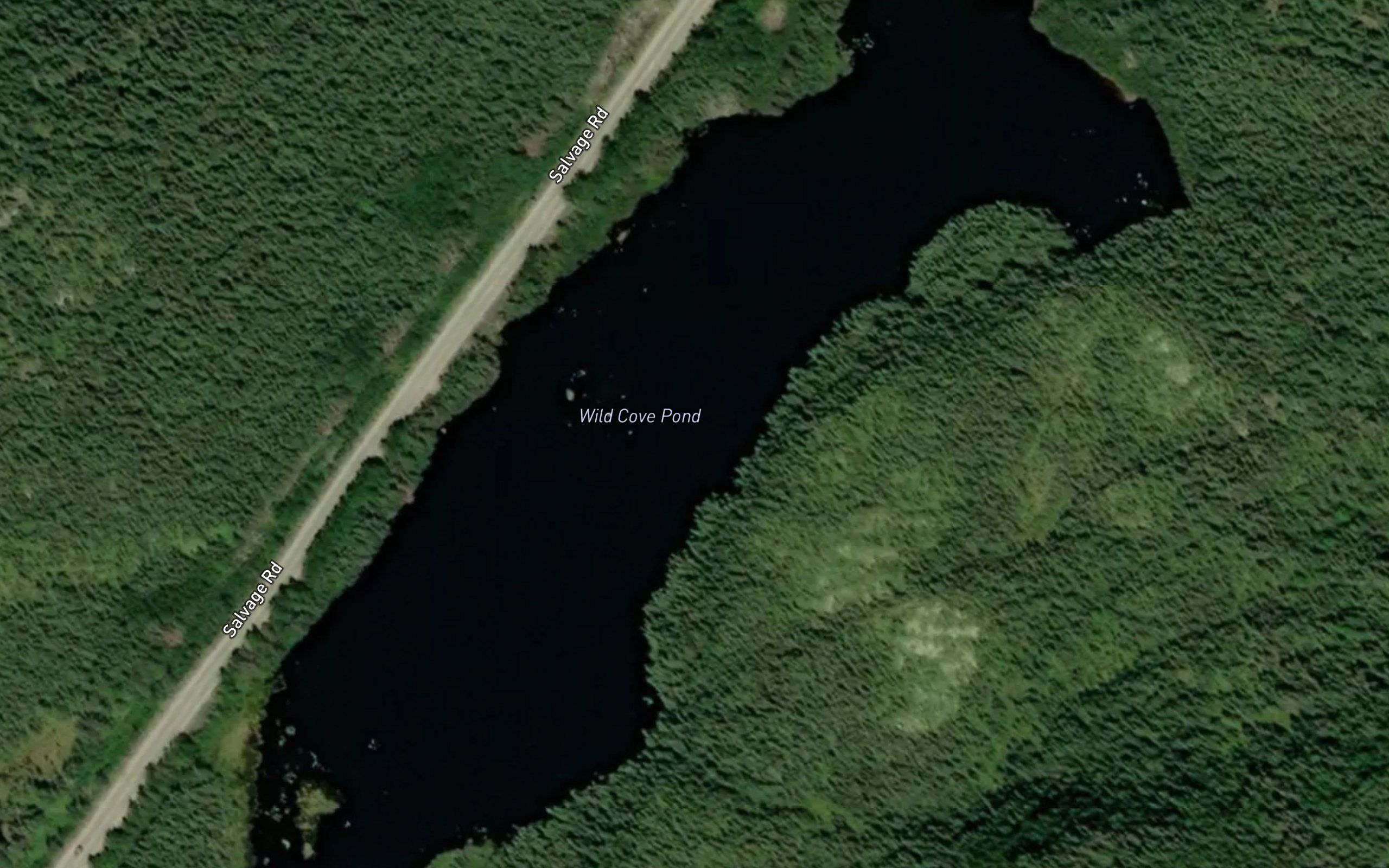 Wild Cove Pond