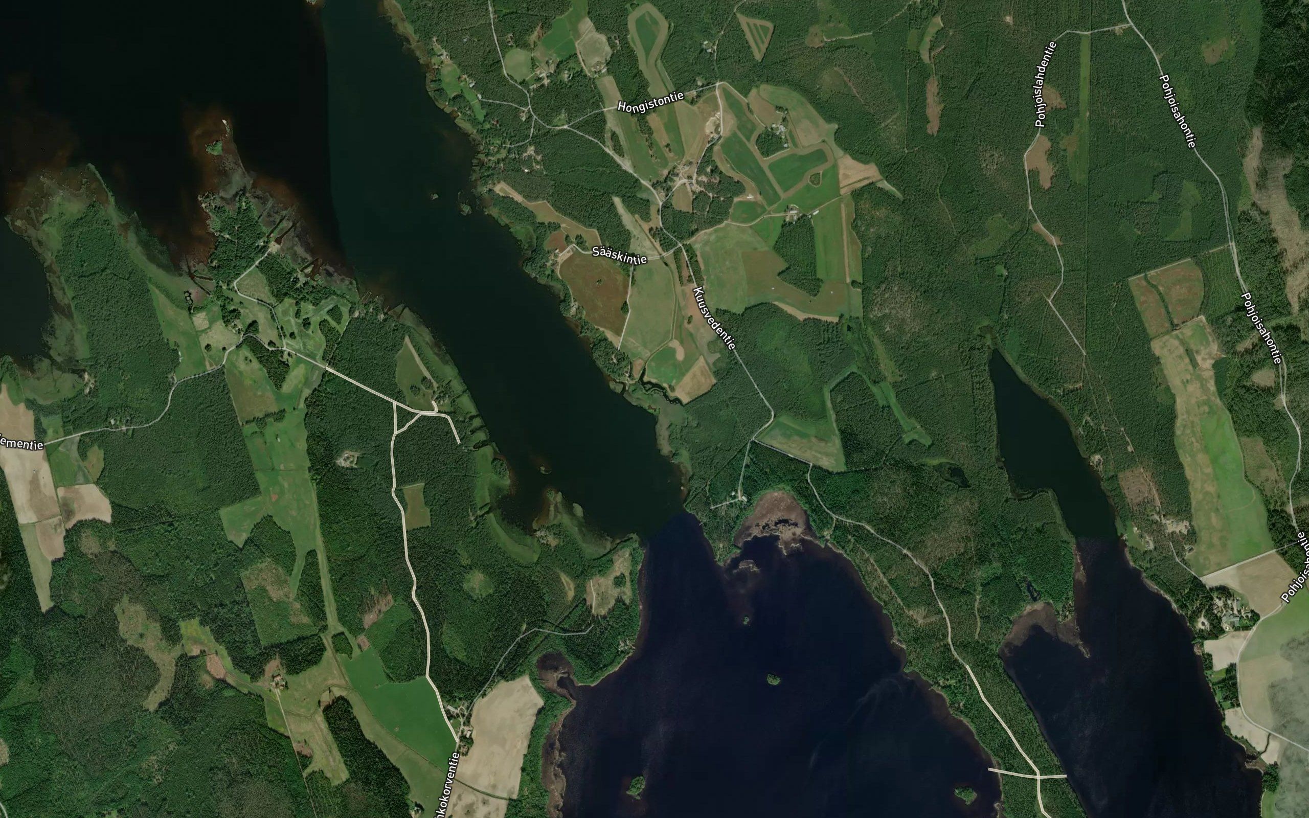 Rummakonlahti