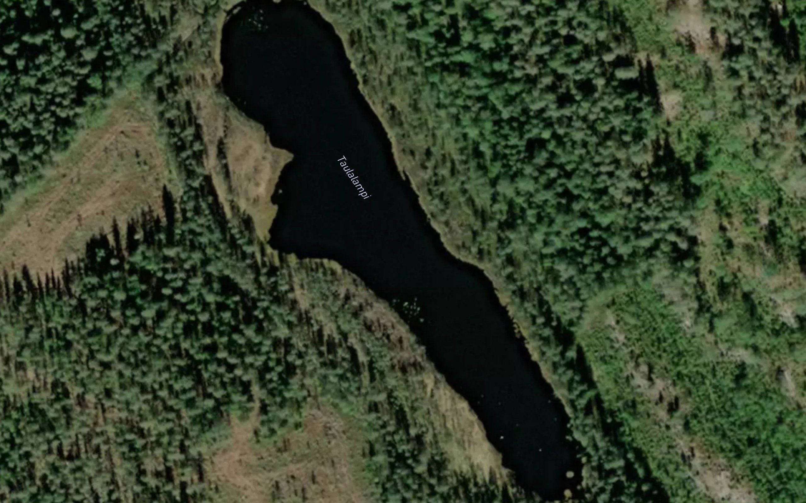 Taulalampi