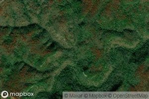 Right Fork Pennington Branch