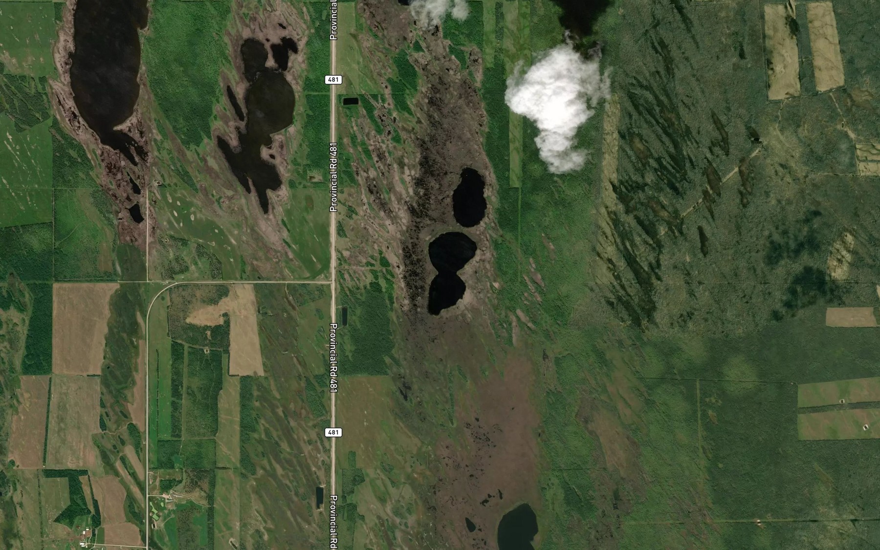 Satellite map of the Oliver Lake