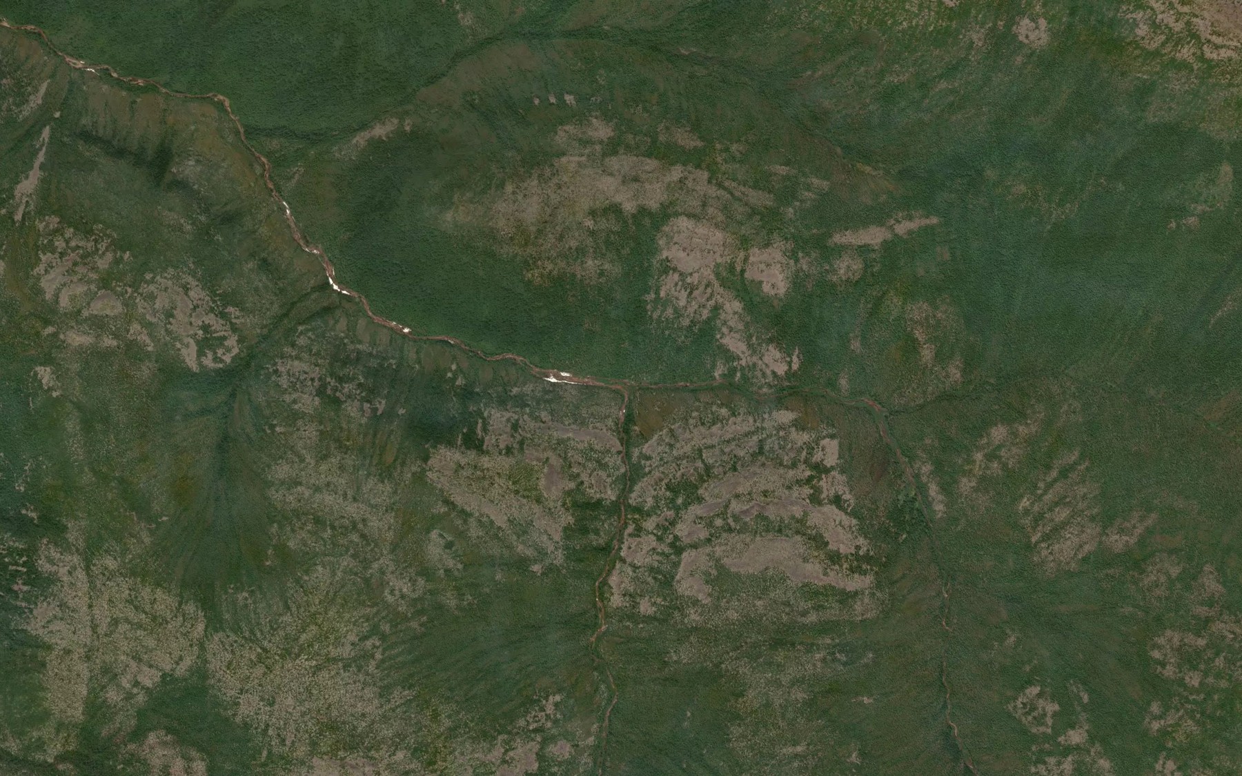 Satellite map of the Svetlyy