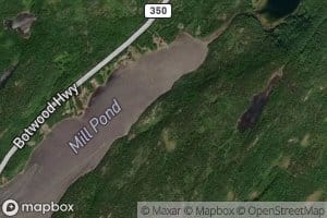 Mill Pond