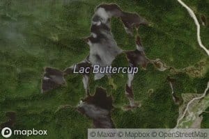 Lac Buttercup