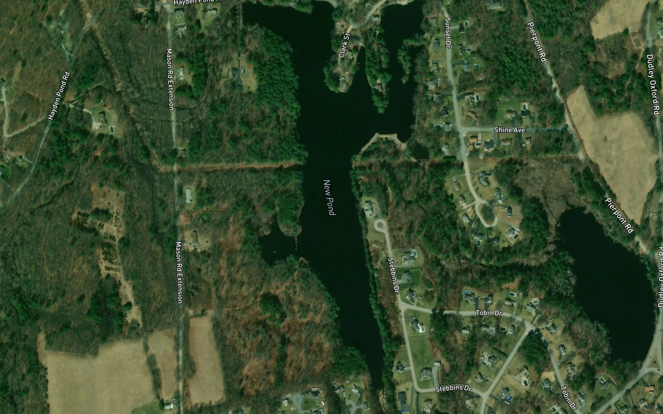 New Pond