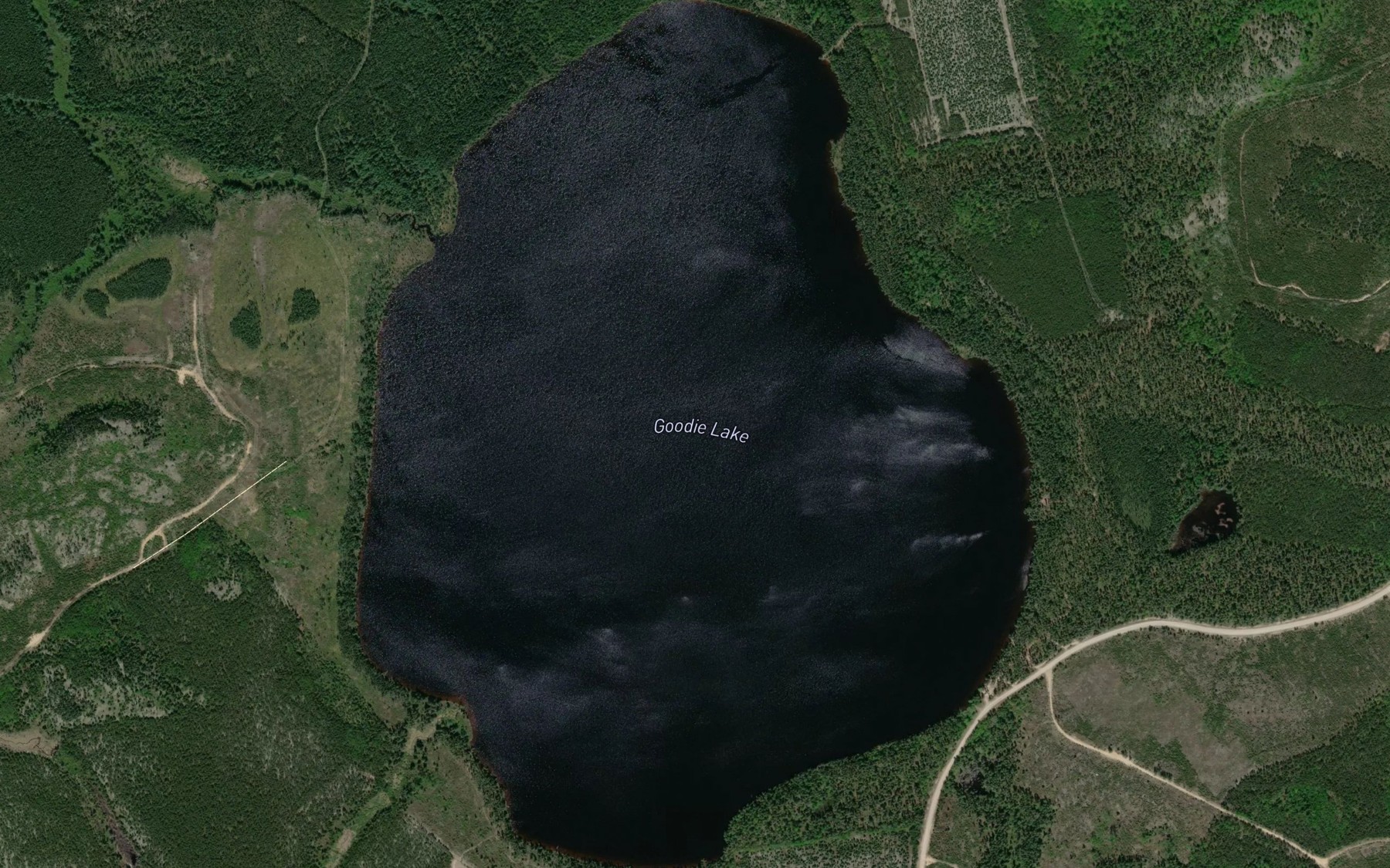 Satellite map of the Goodie Lake