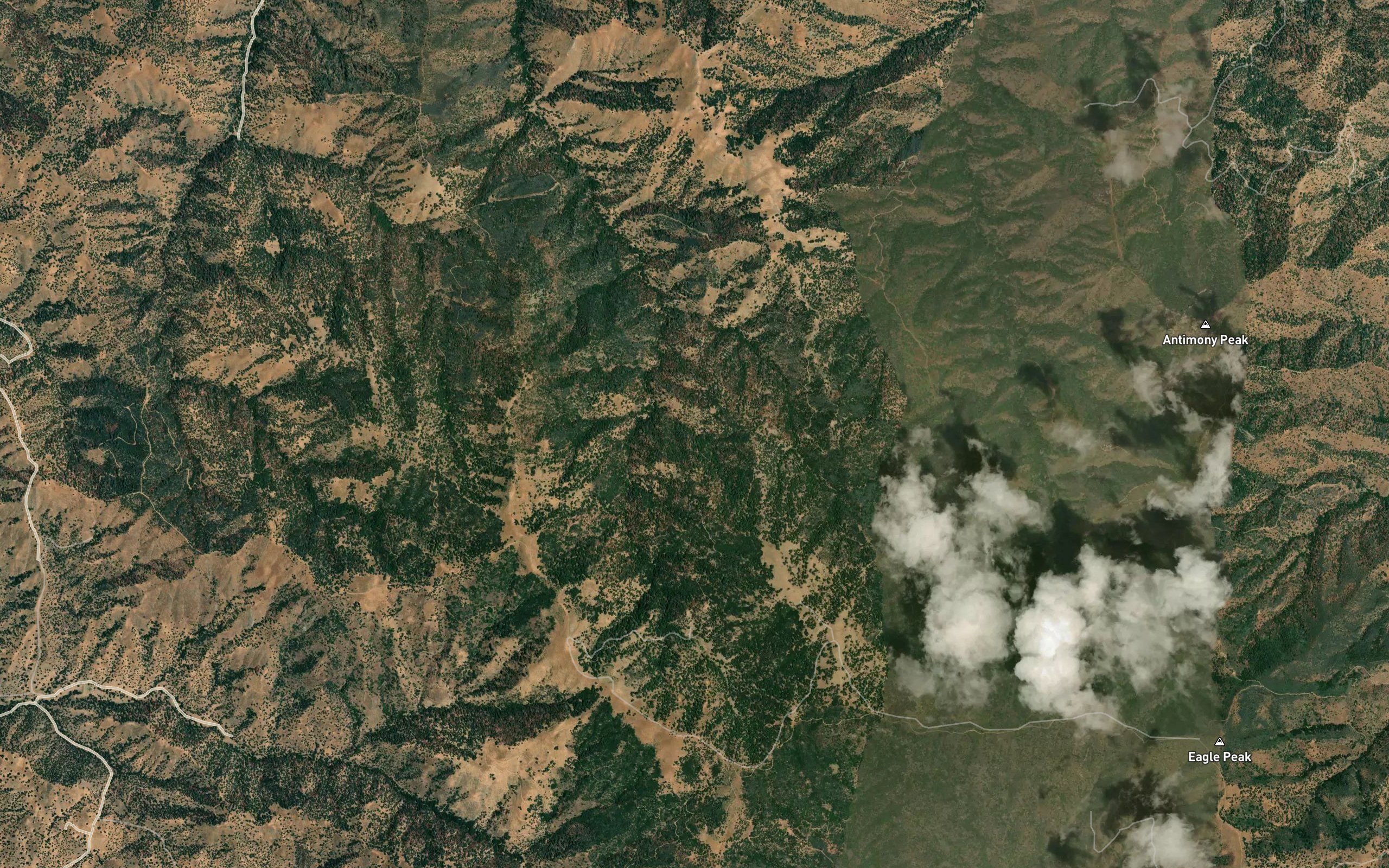 Bobcat Spring