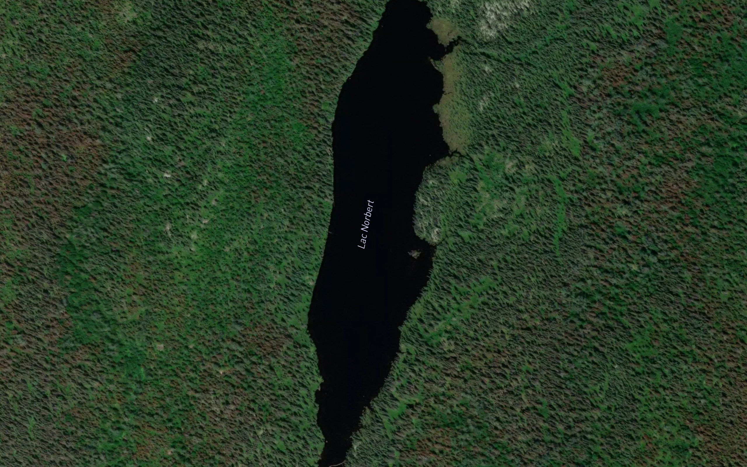Lac Norbert
