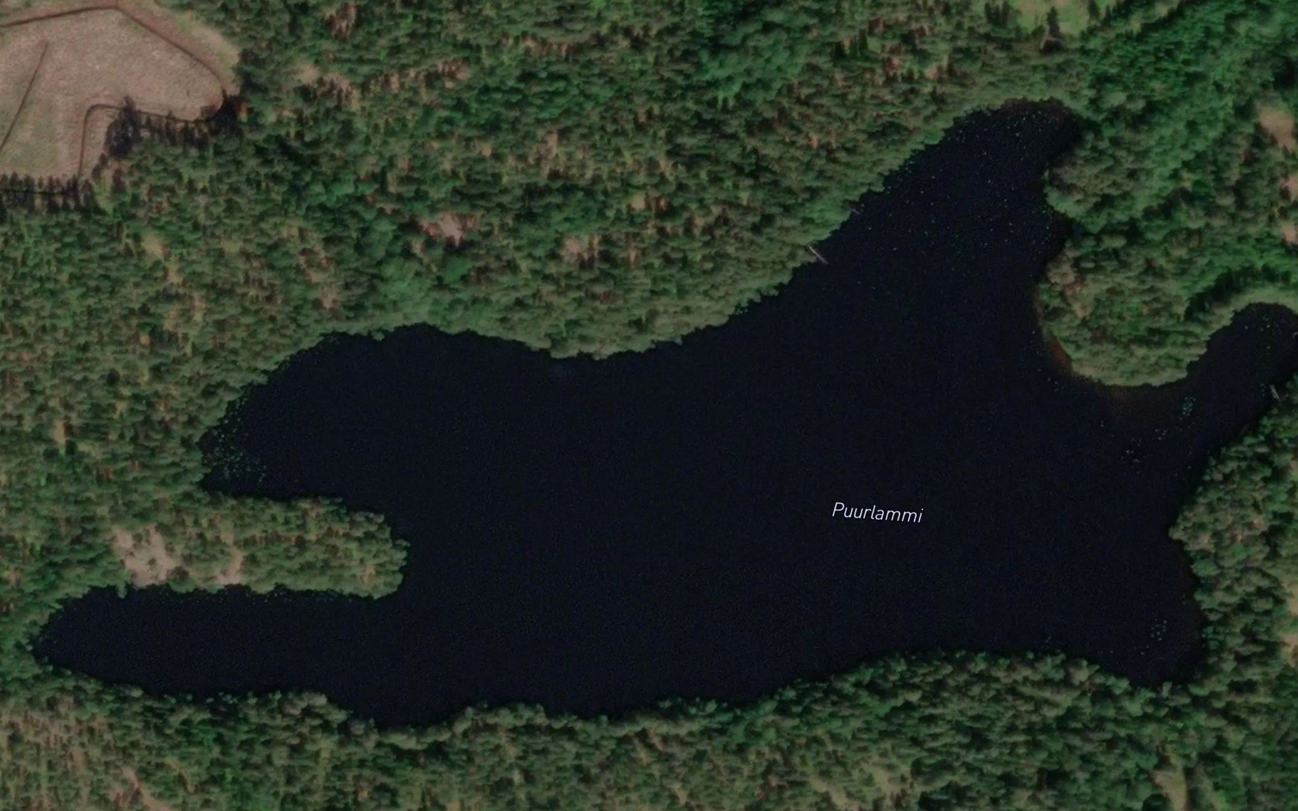 Puurlammi