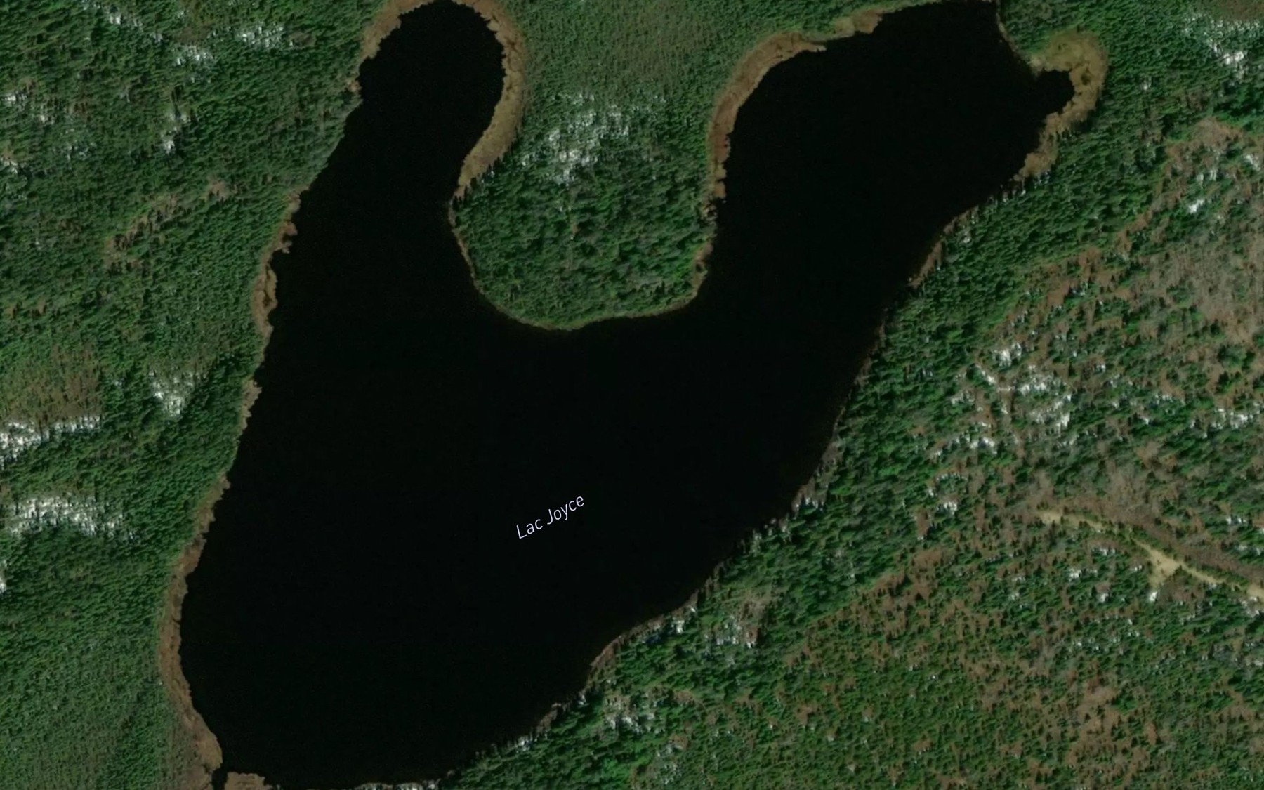 Satellite map of the Lac Joyce