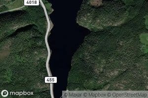 Mannflavann