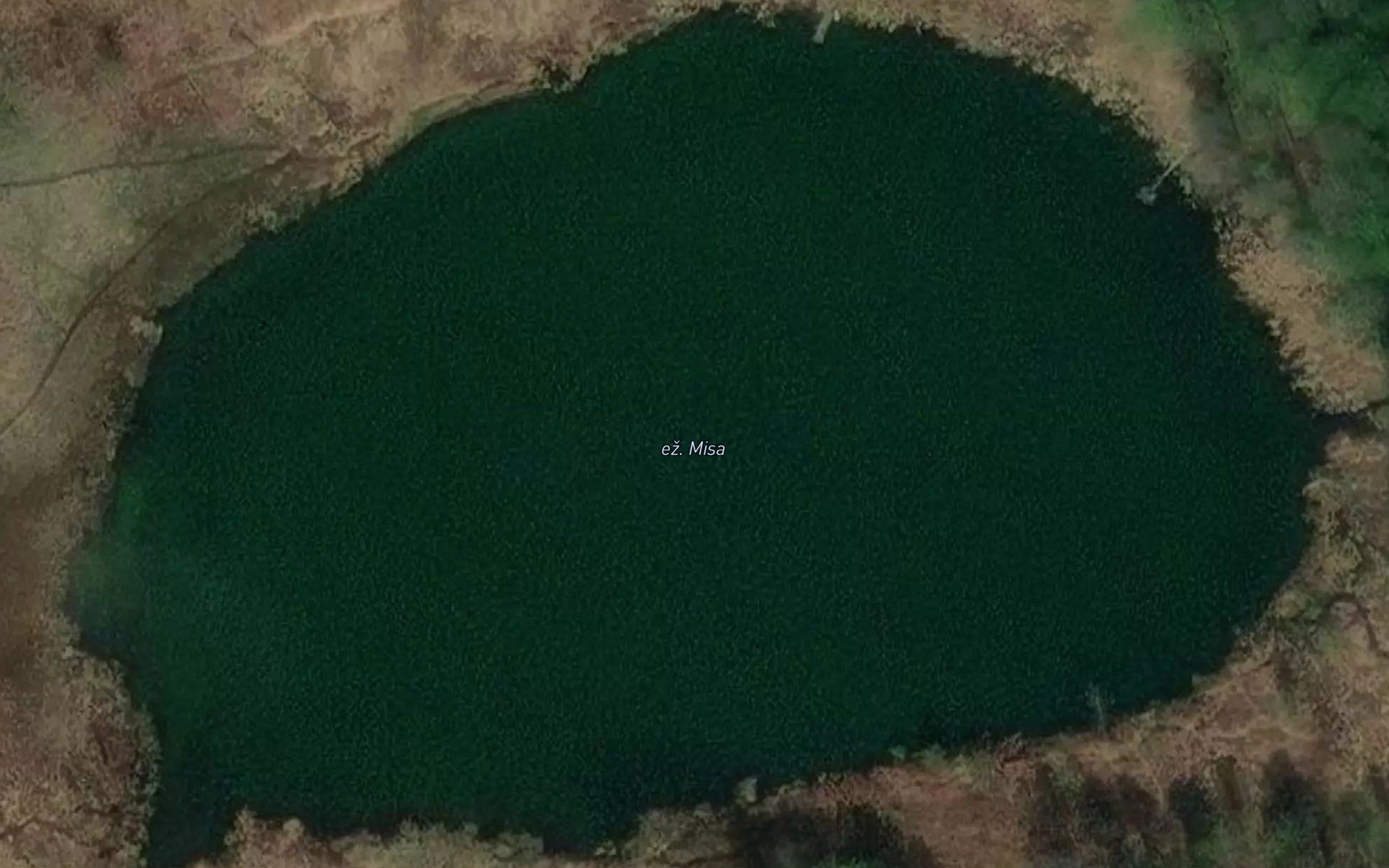 Ezeras Misa