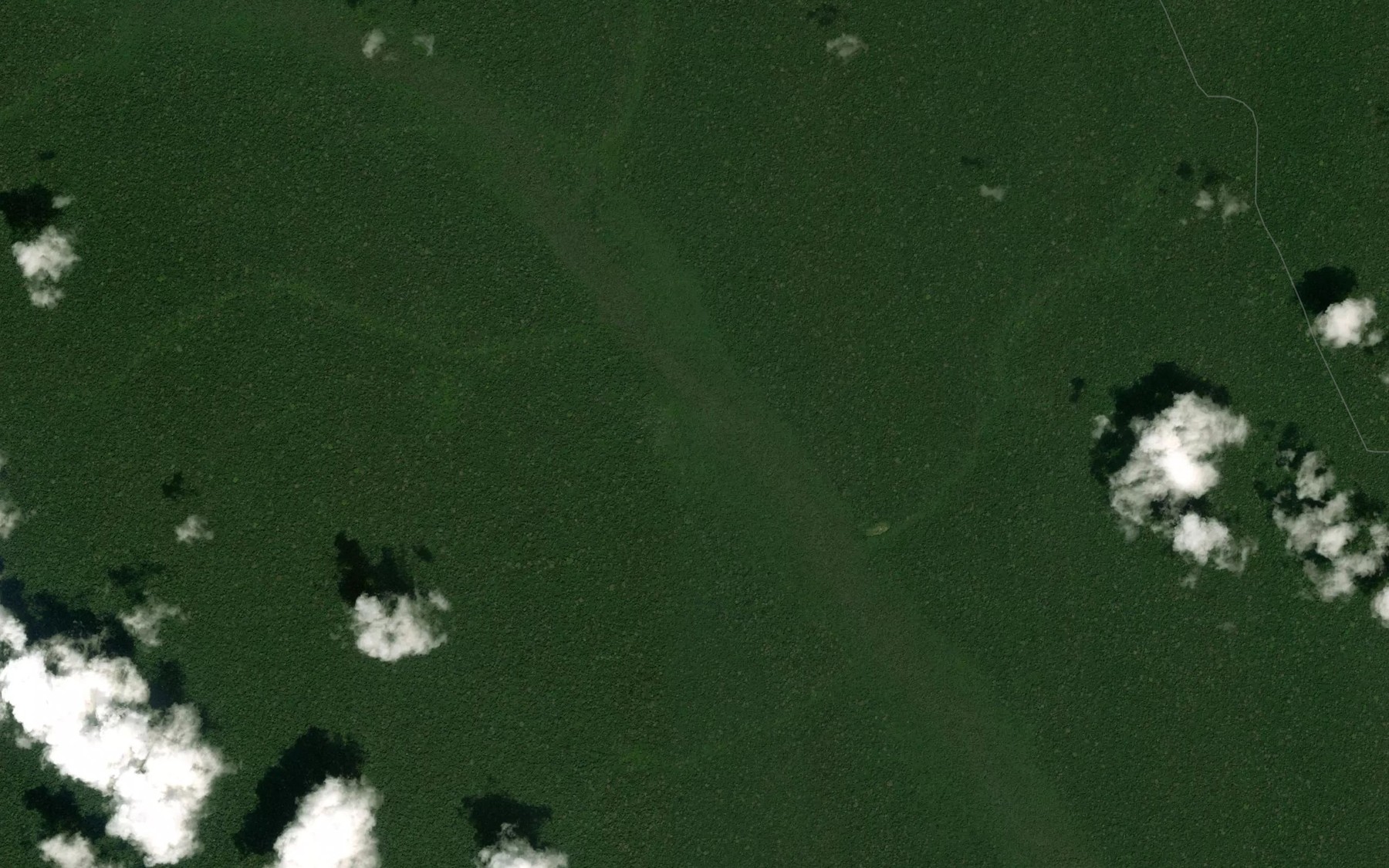 Satellite map of the Dzanga