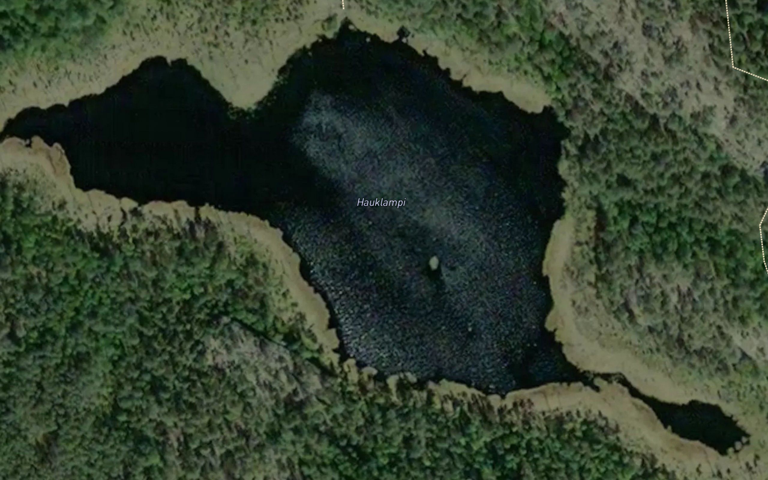 Hauklampi