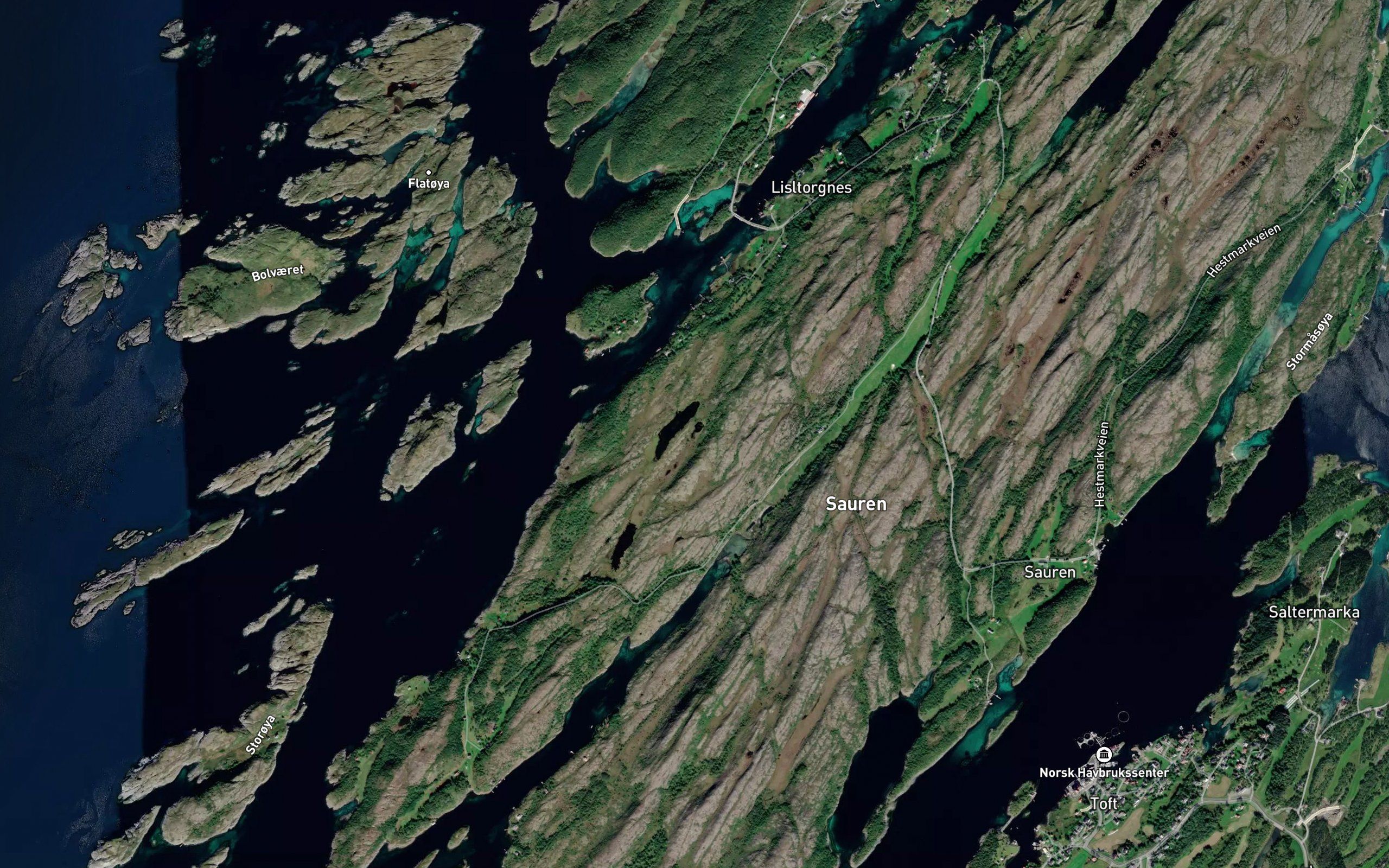 Rausteintjonna