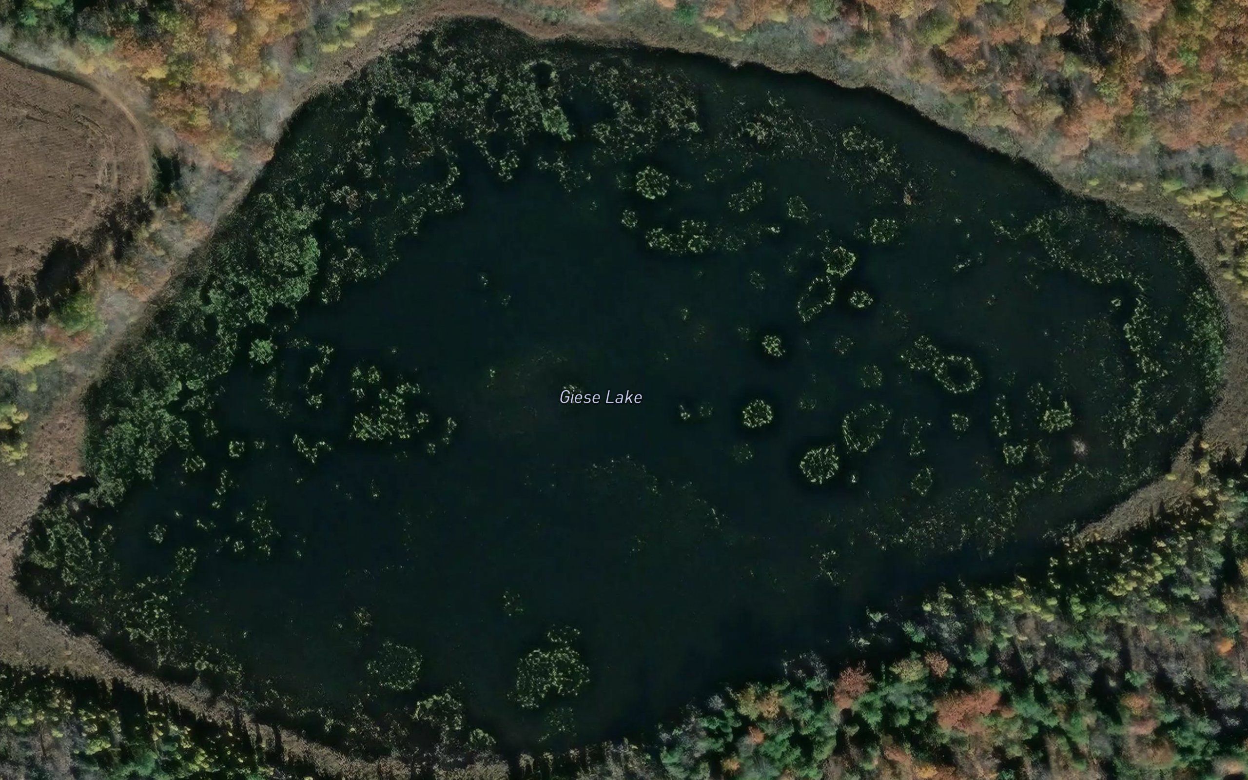 Giese Lake