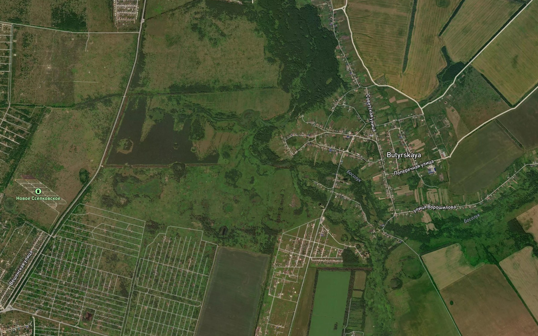 Satellite map of the Semenovskiy