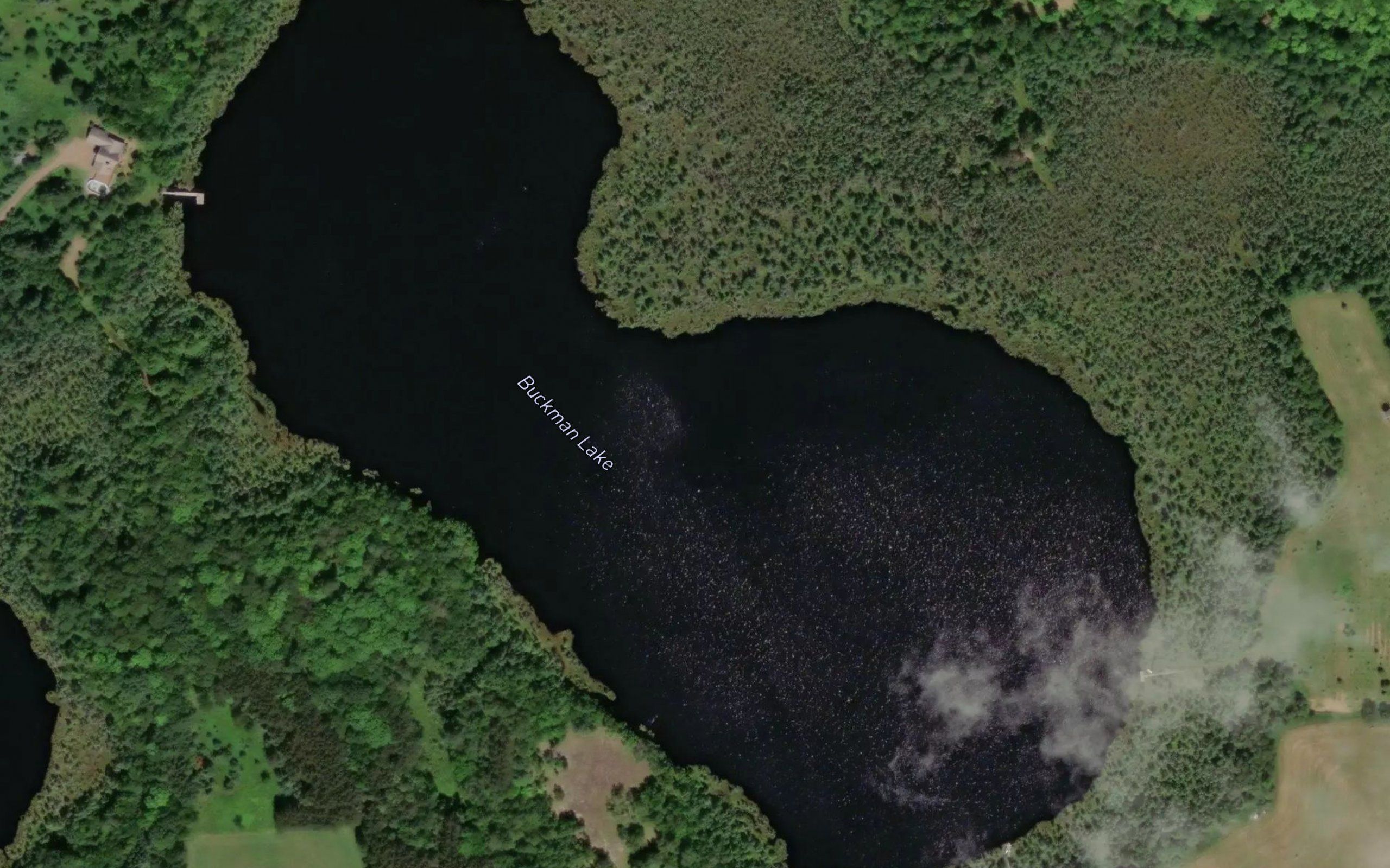 Buckman Lake