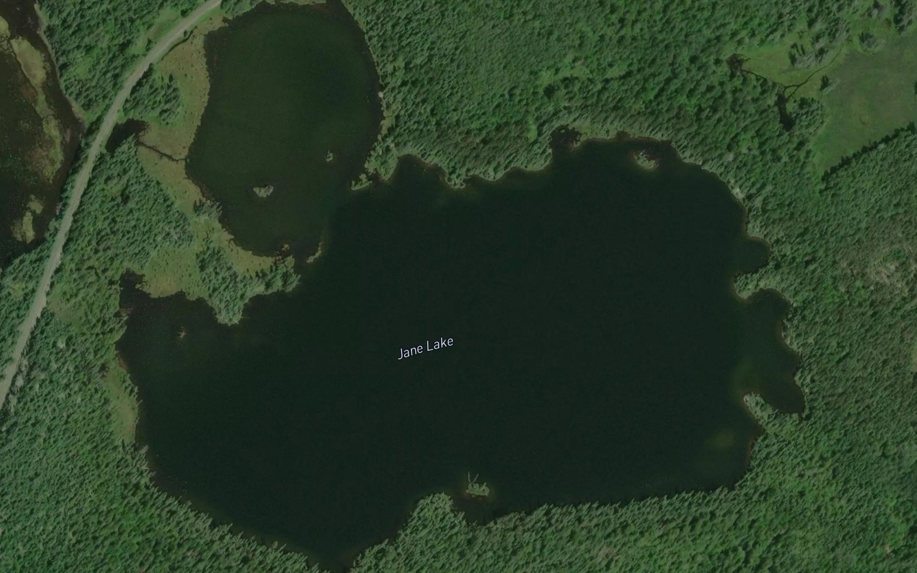 Satellite map of the Jane Lake