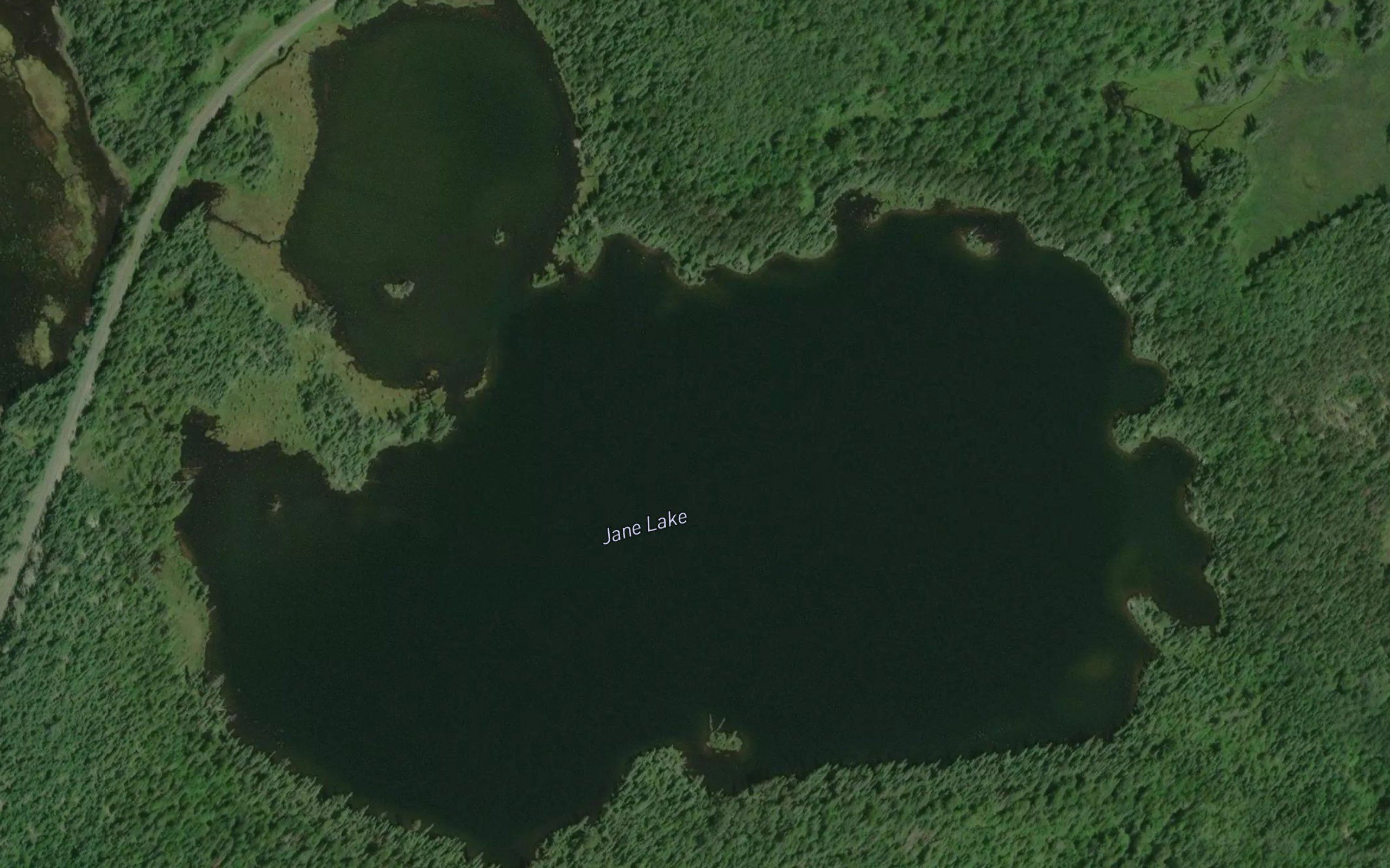 Jane Lake