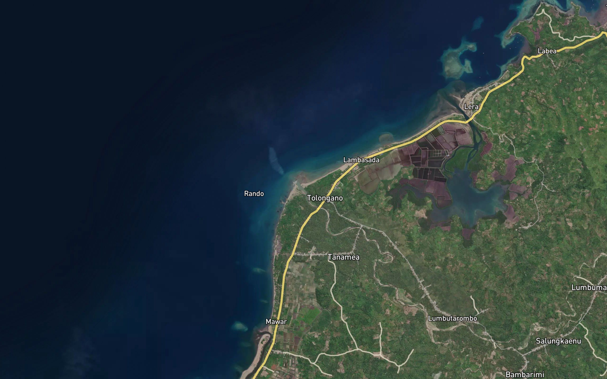 Salu Pulege