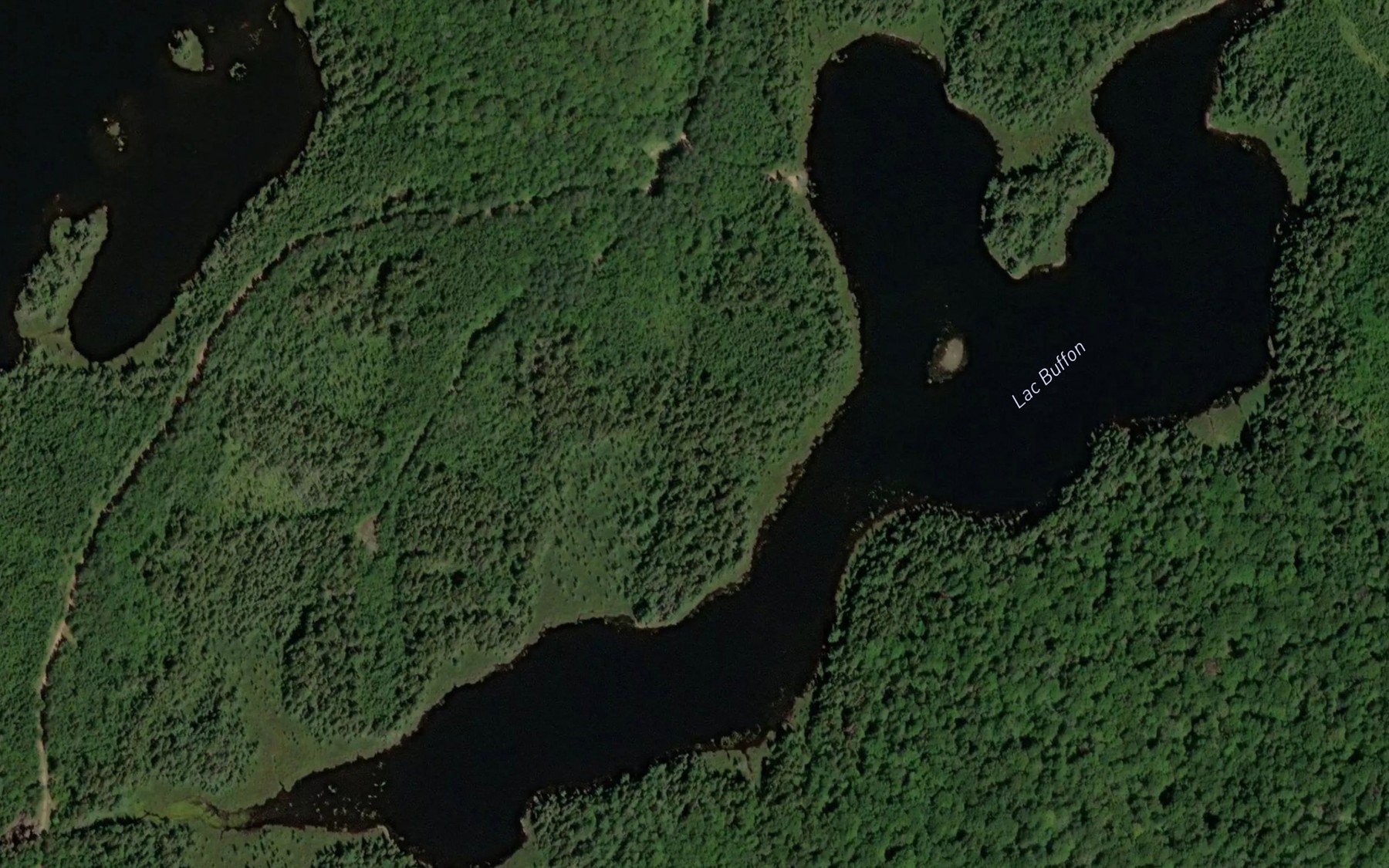 Satellite map of the Lac Buffon