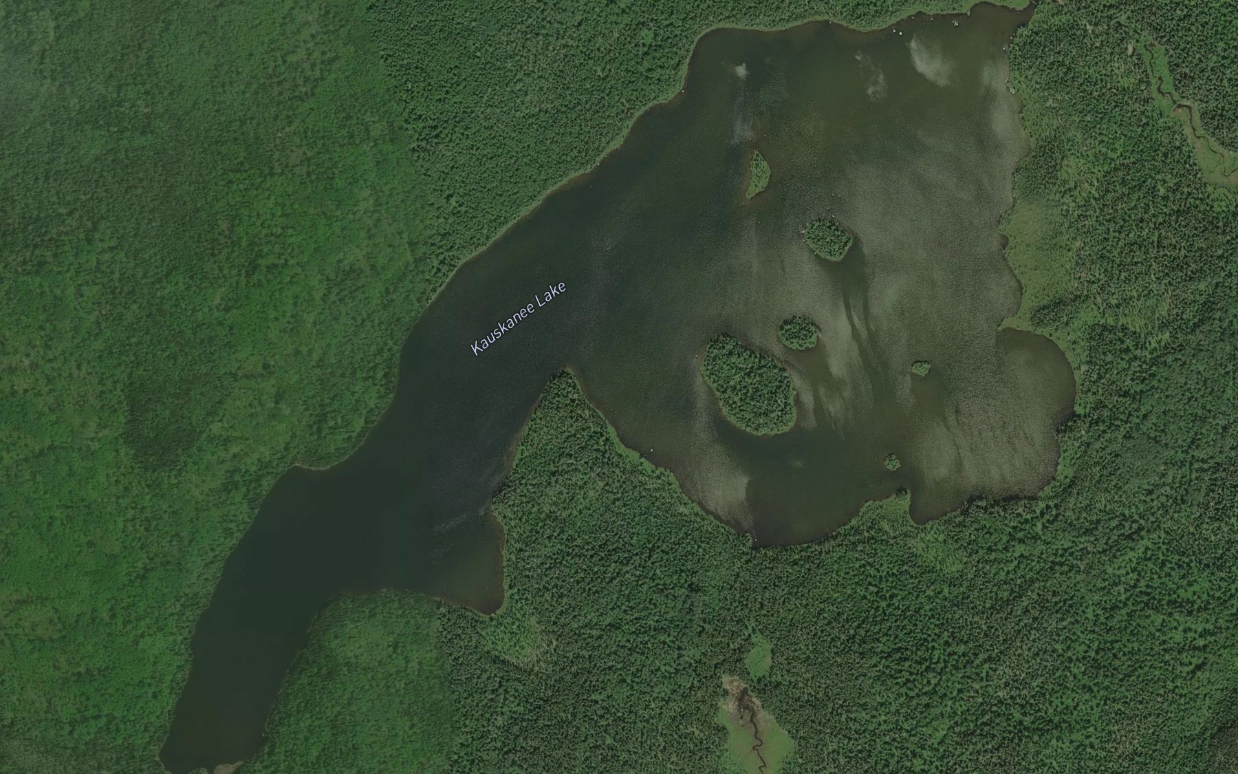 Satellite map of the Kauskanee Lake