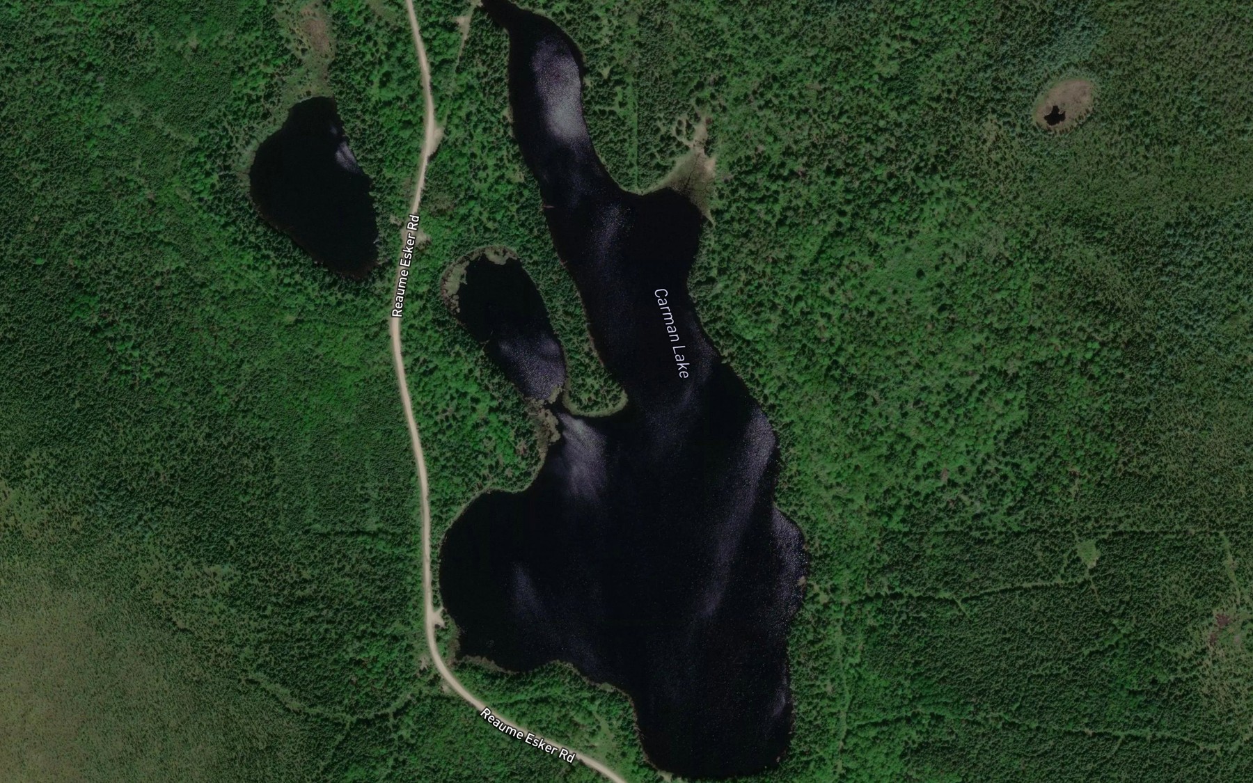 Satellite map of the Carman Lake