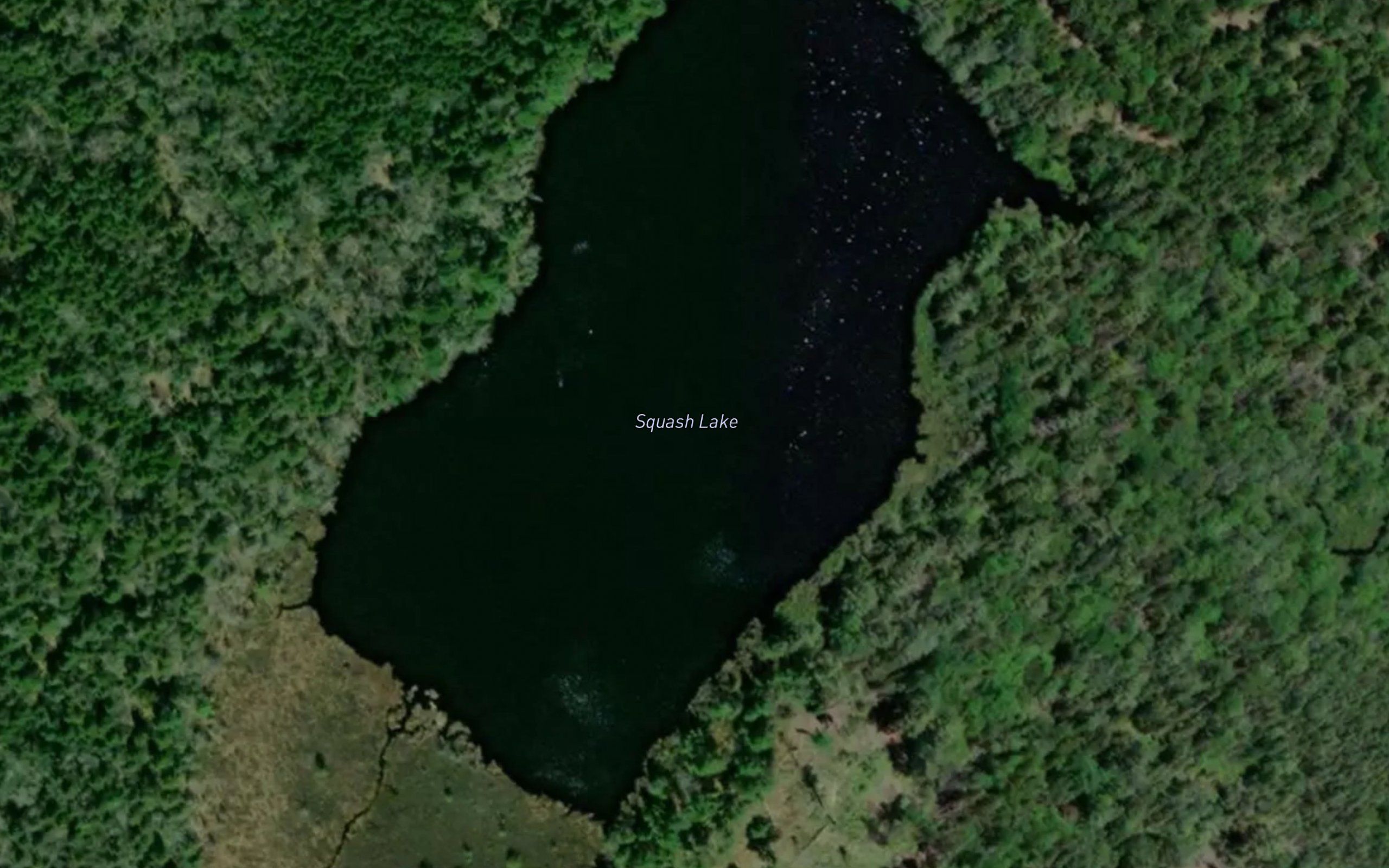 Squash Lake