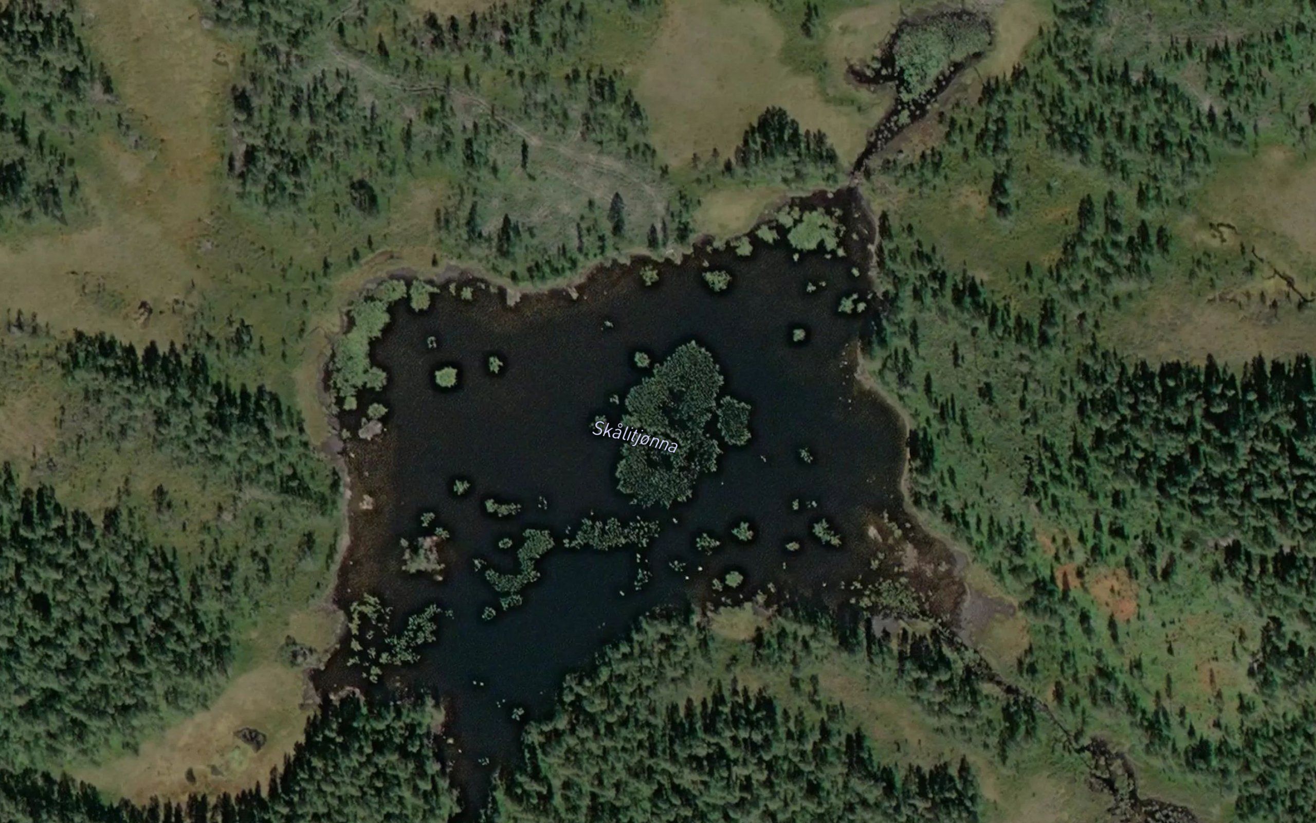 Skalitjonna