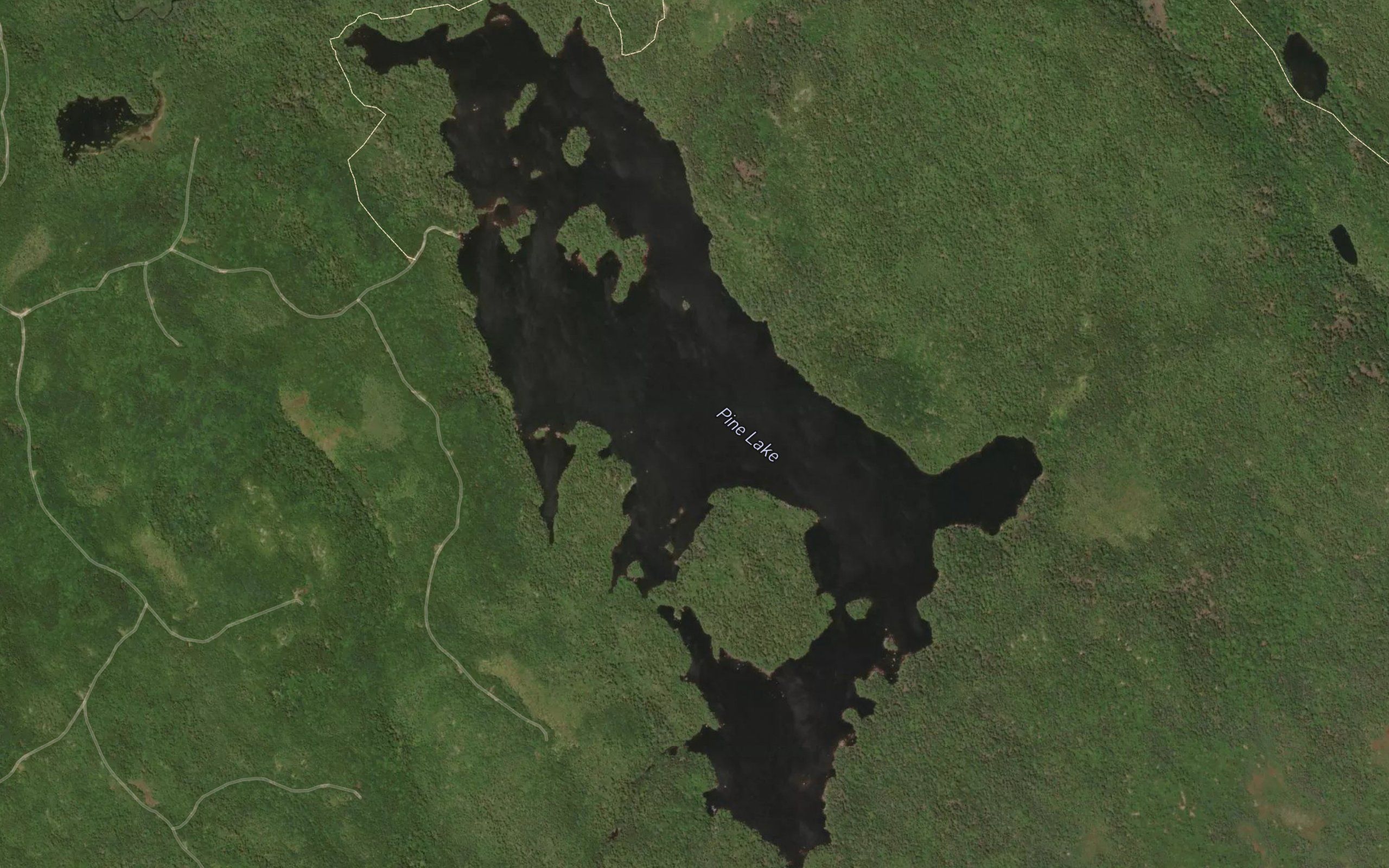 Pine Lake