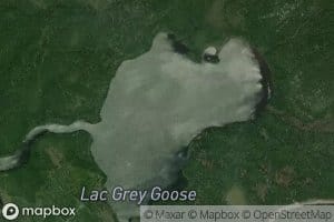 Lac Grey Goose