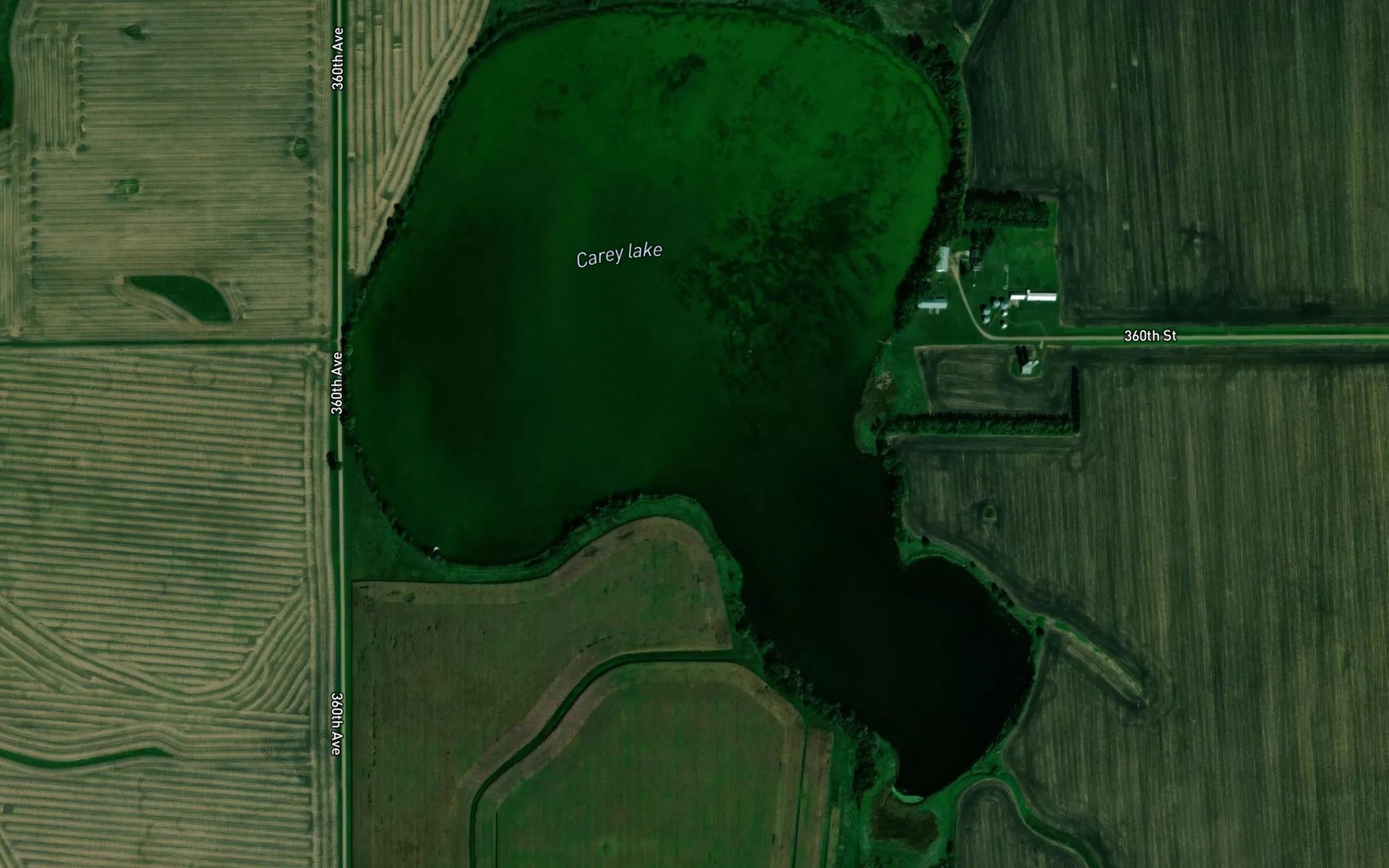 Satellite map of the Carey Lake