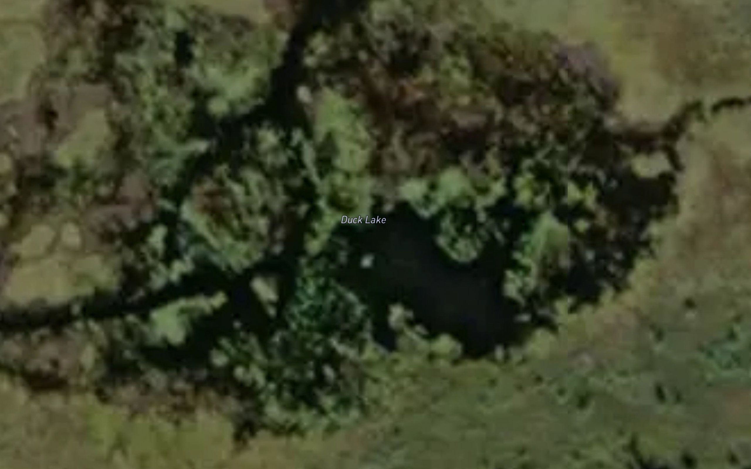 Duck Lake