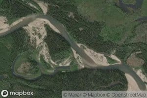 Pitka Forks