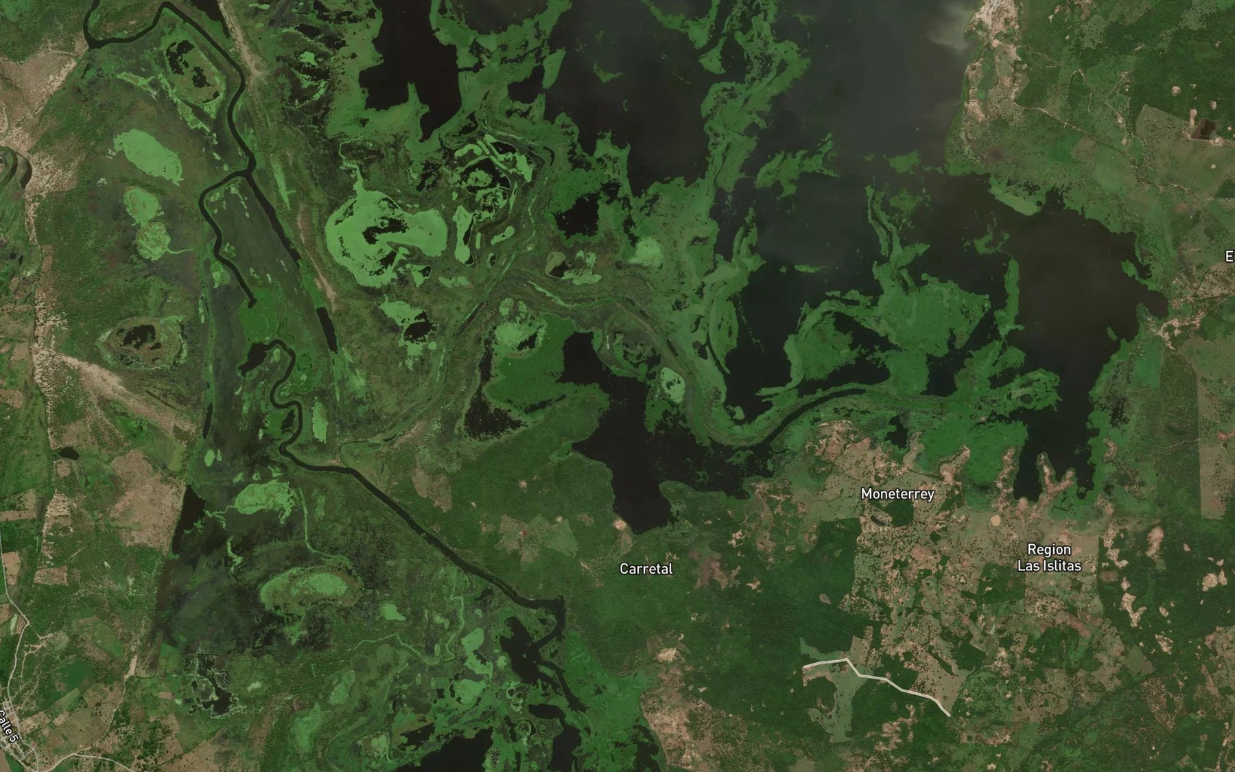 Satellite map of the Cienaga de Los Ponches