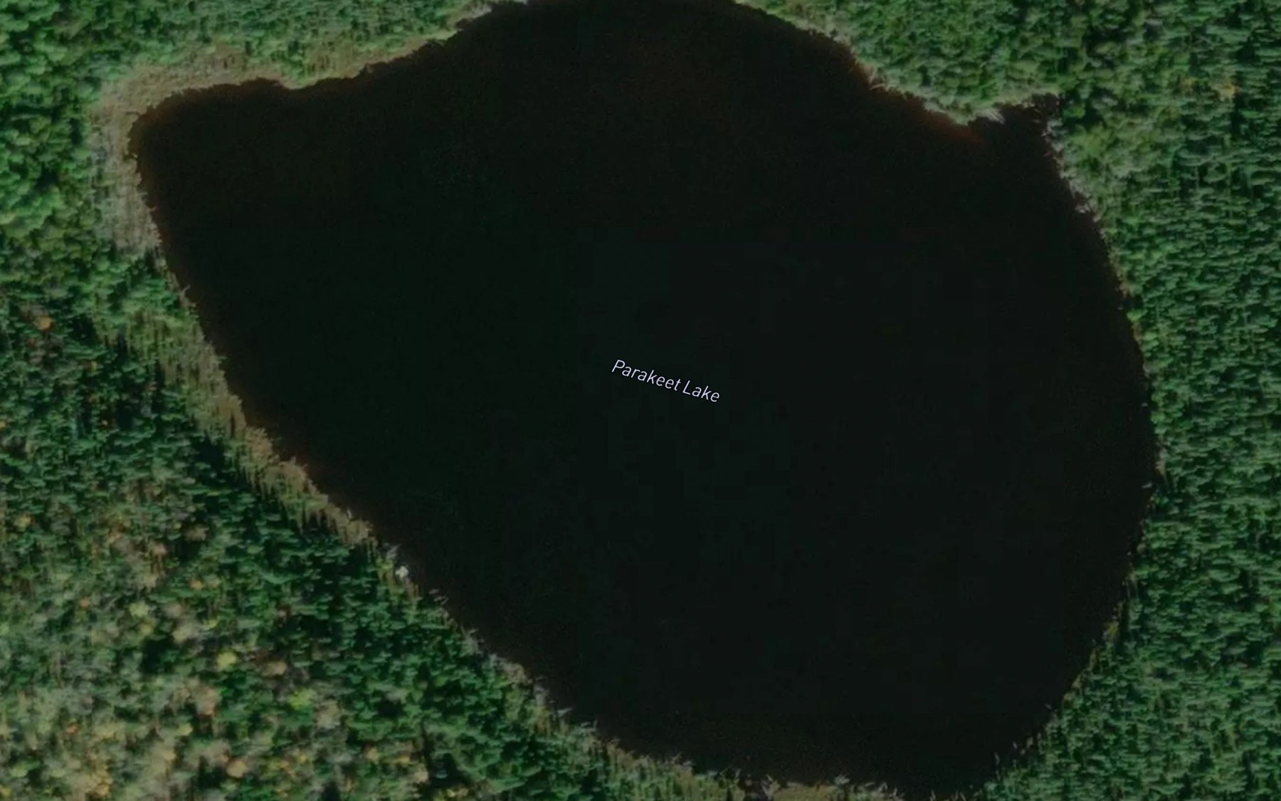 Satellite map of the Parakeet Lake
