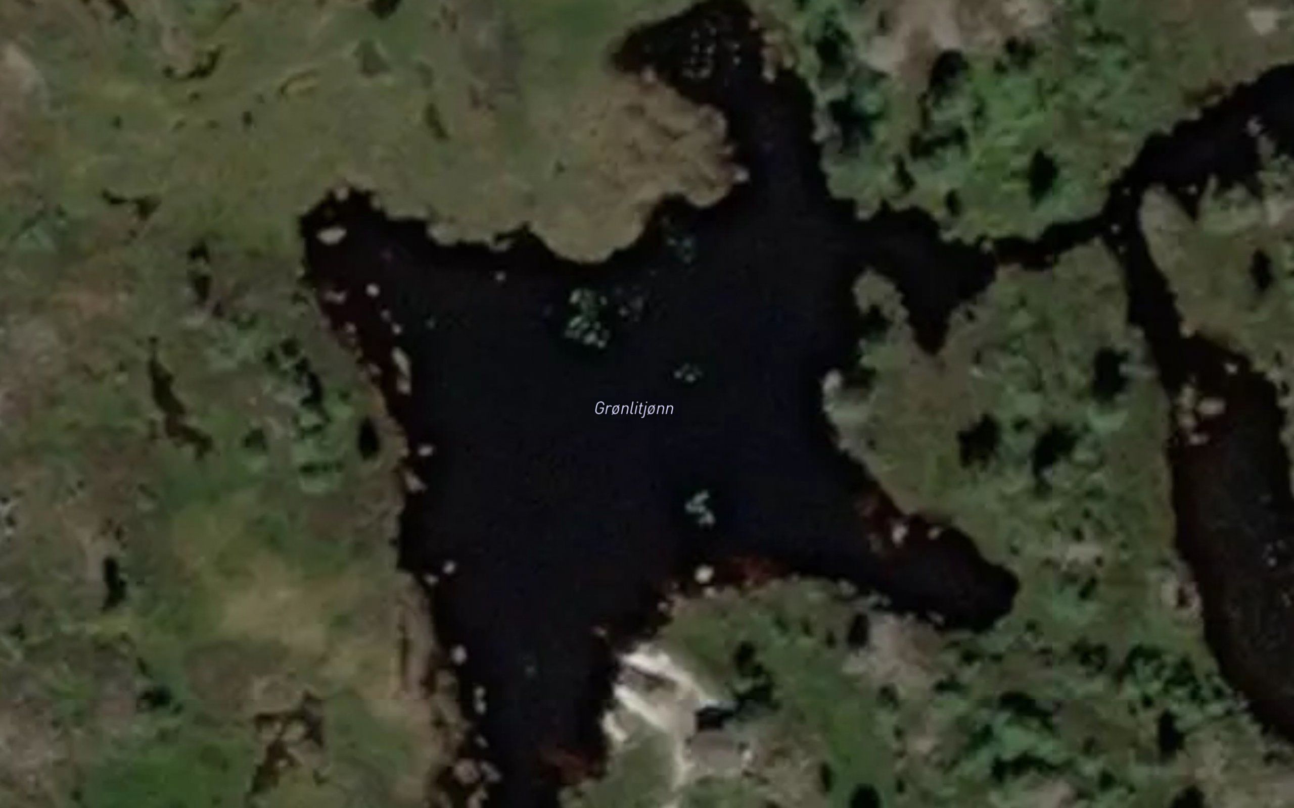 Gronlitjonn