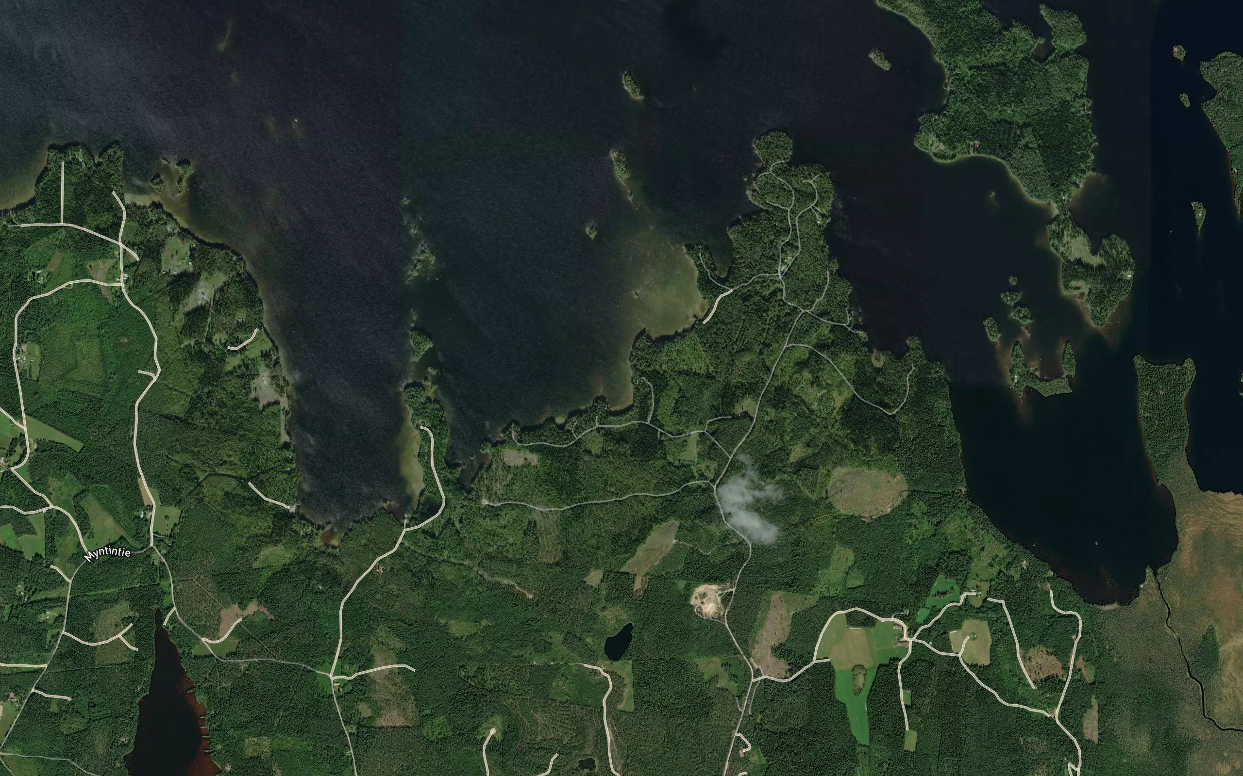 Kaupinlahti