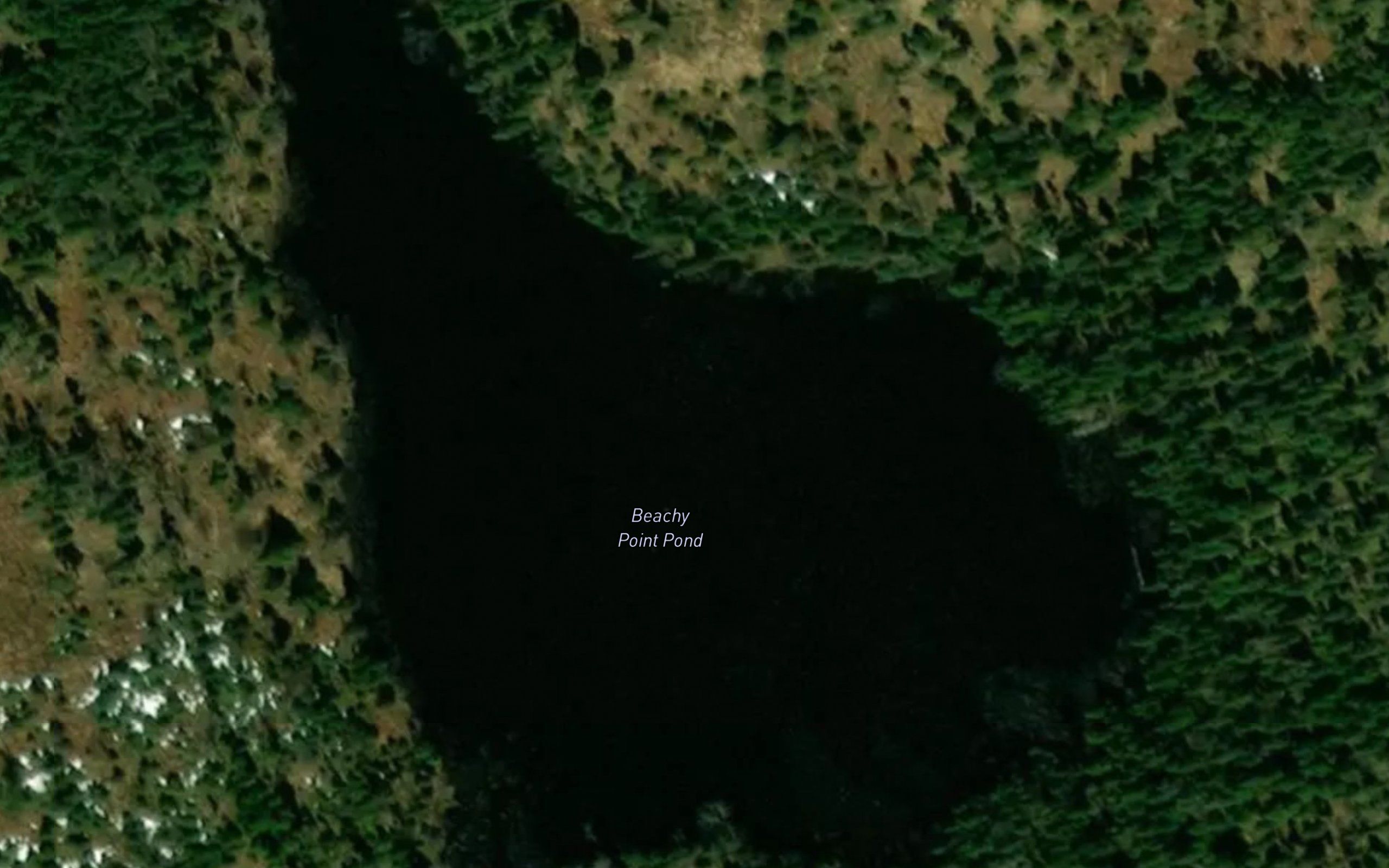 Beachy Point Pond