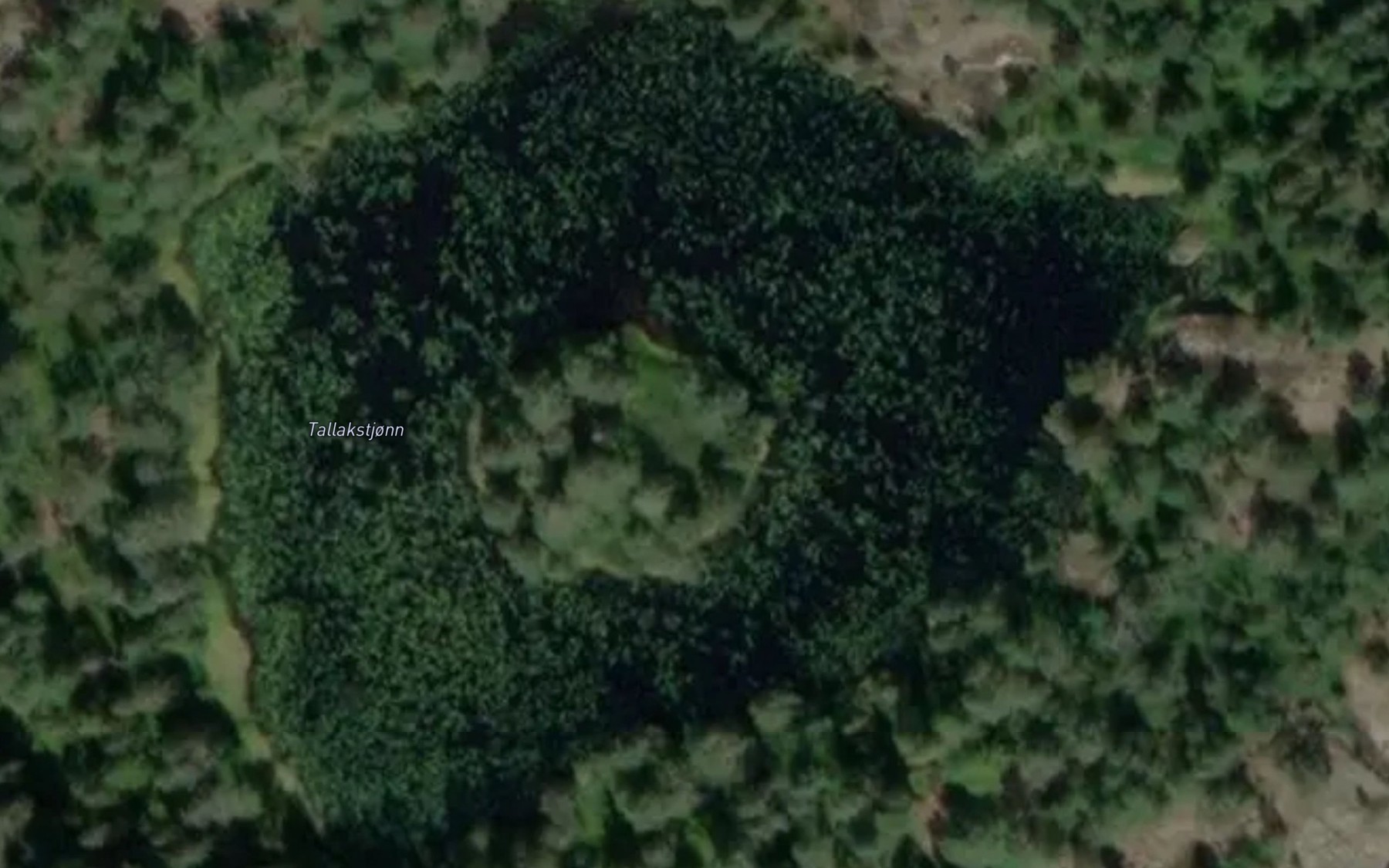 Satellite map of the Tallakstjonn