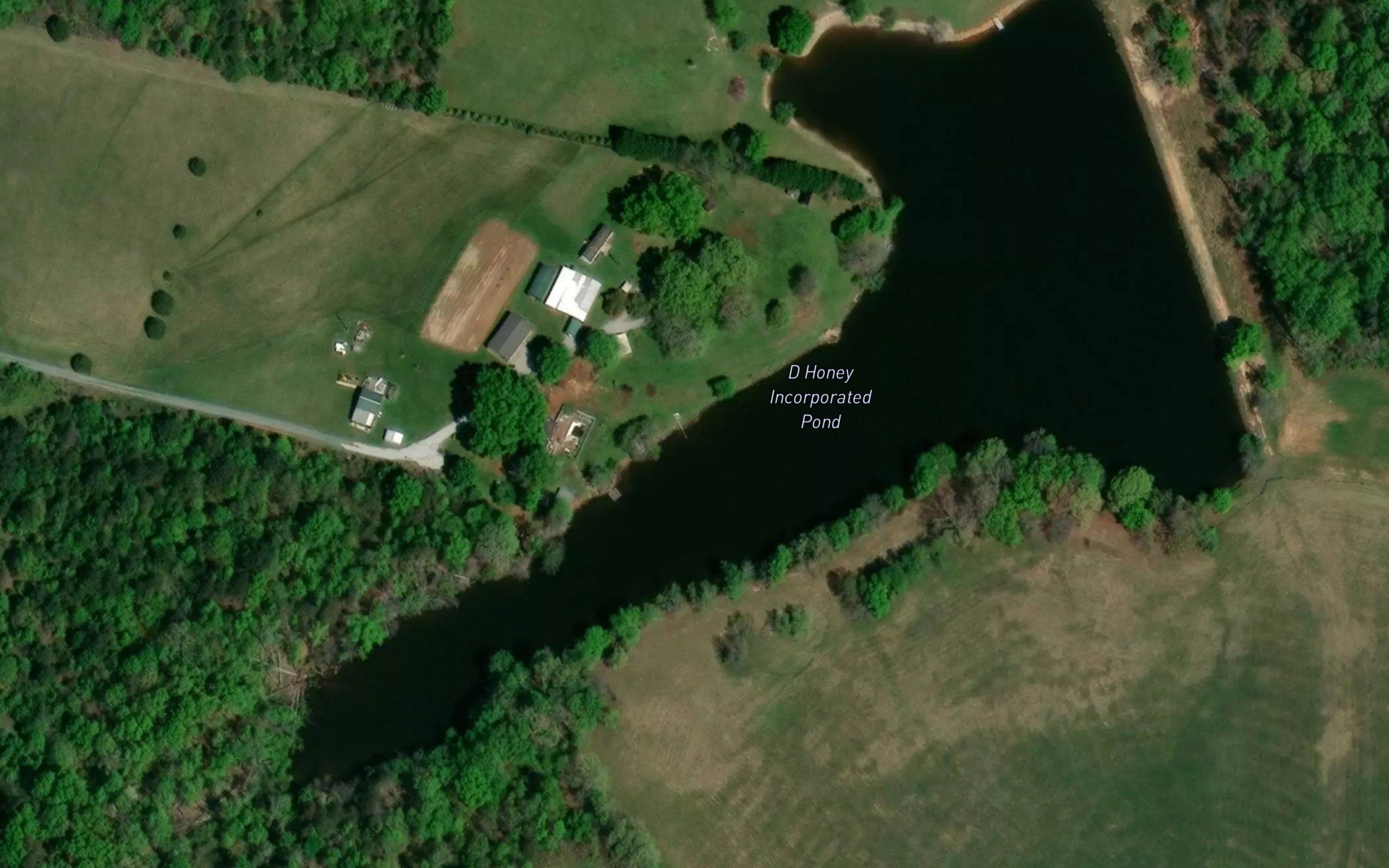 D Honey Incorporated Pond