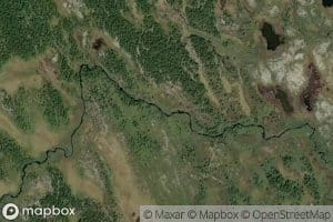 Jetningselva