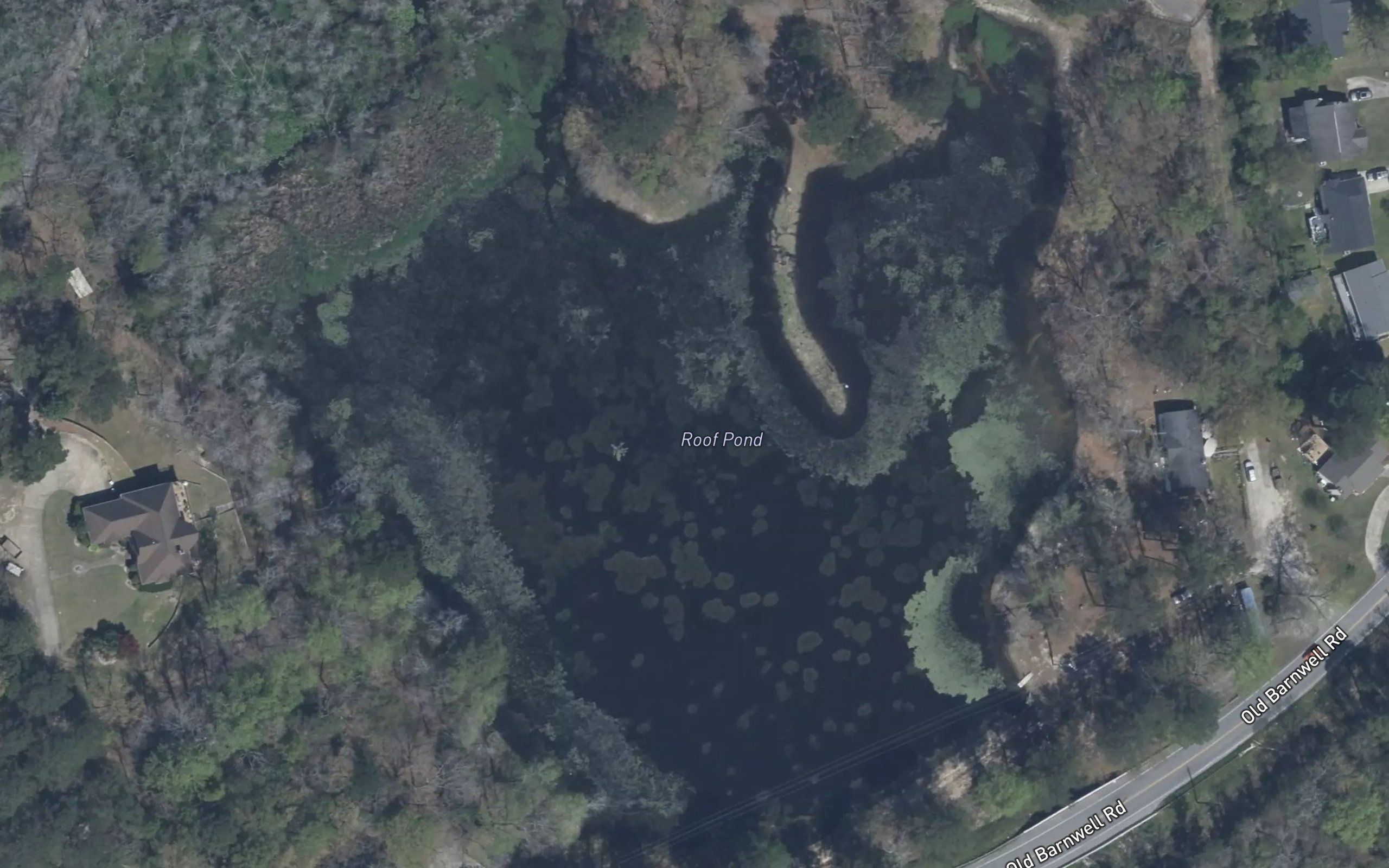 Roof Pond