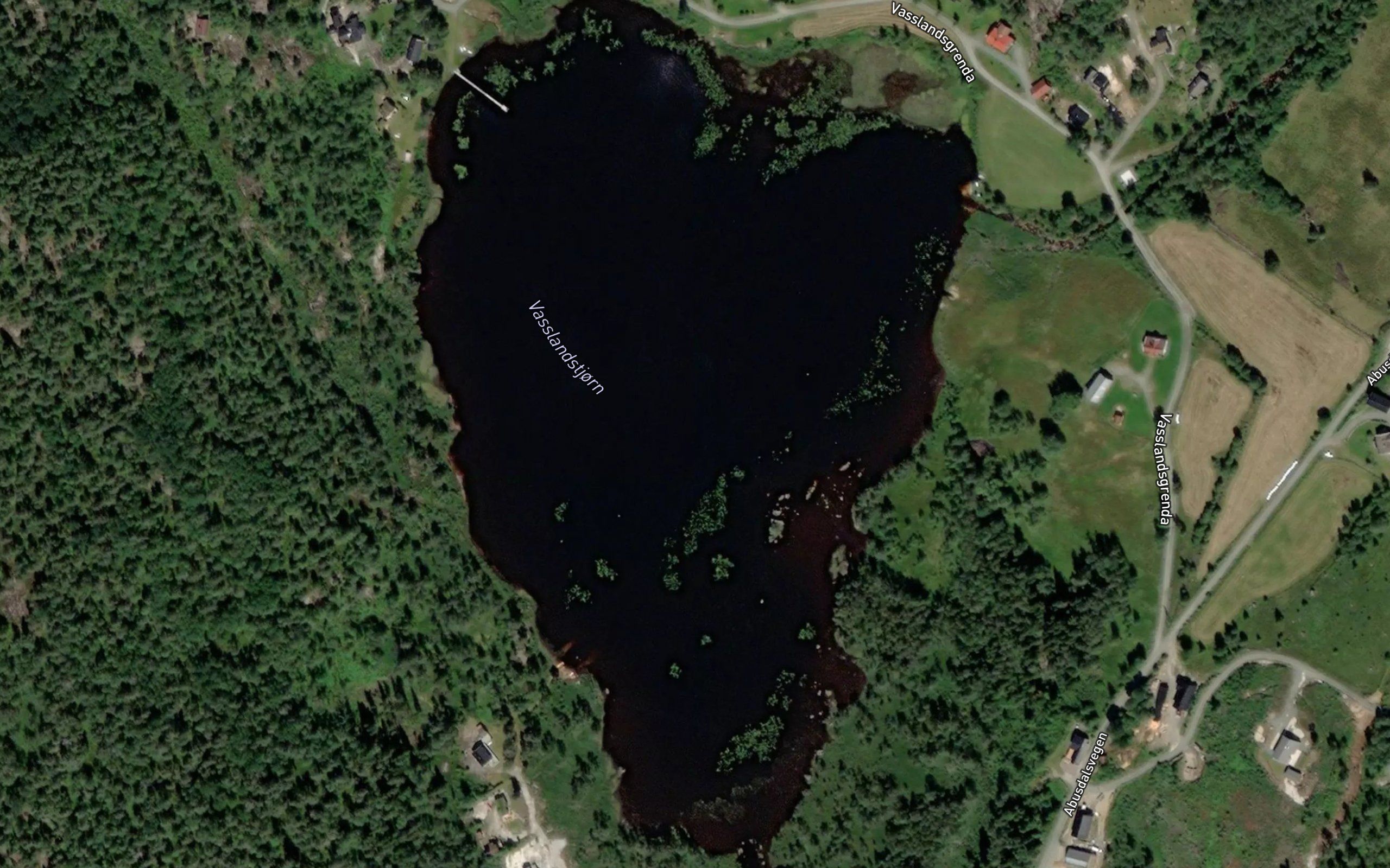 Vasslandstjorn